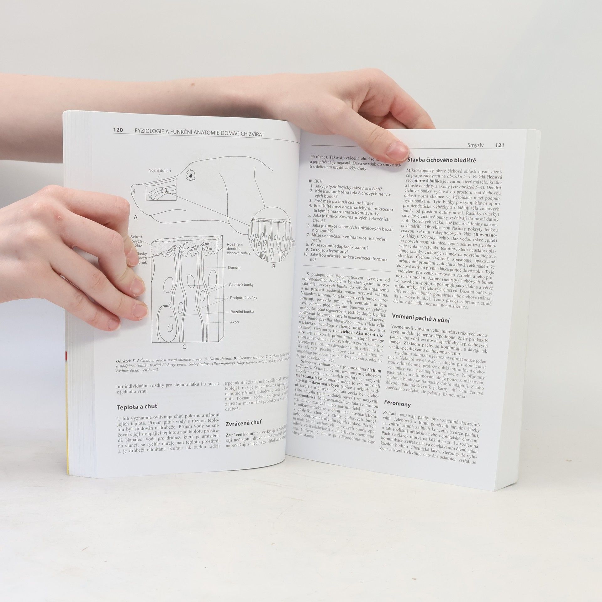 William O. Reece Fyziologie a funkční anatomie domácích zvířat