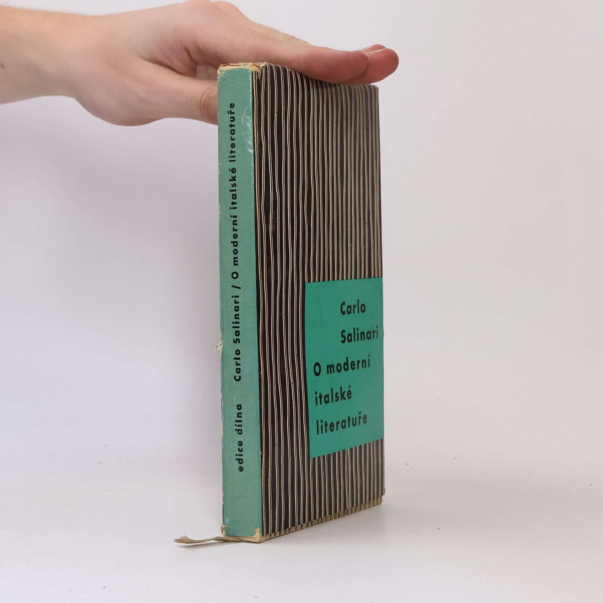 Carlo Salinari O moderní italské literatuře