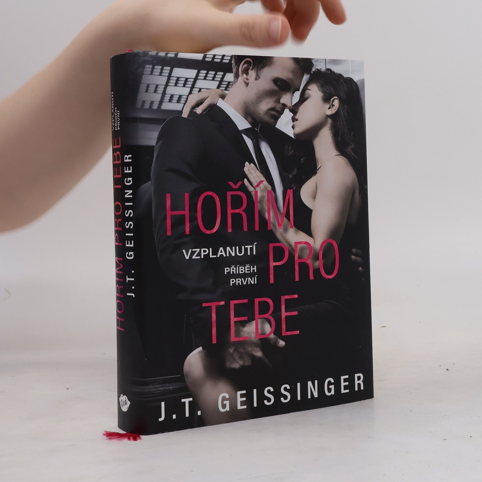 J. T. Geissinger Hořím pro tebe. Příběh první, Vzplanutí