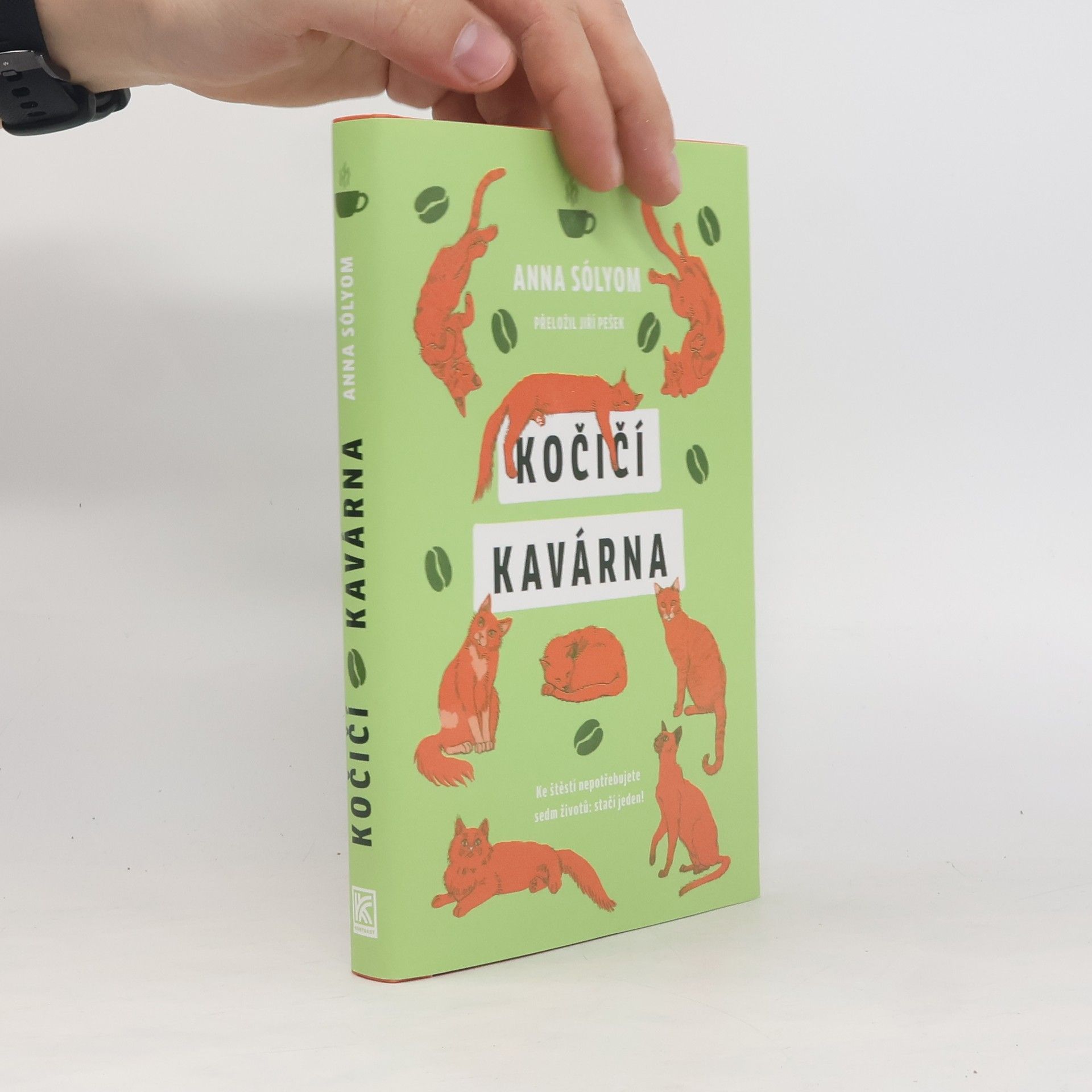 Anna Sólyom Kočičí kavárna