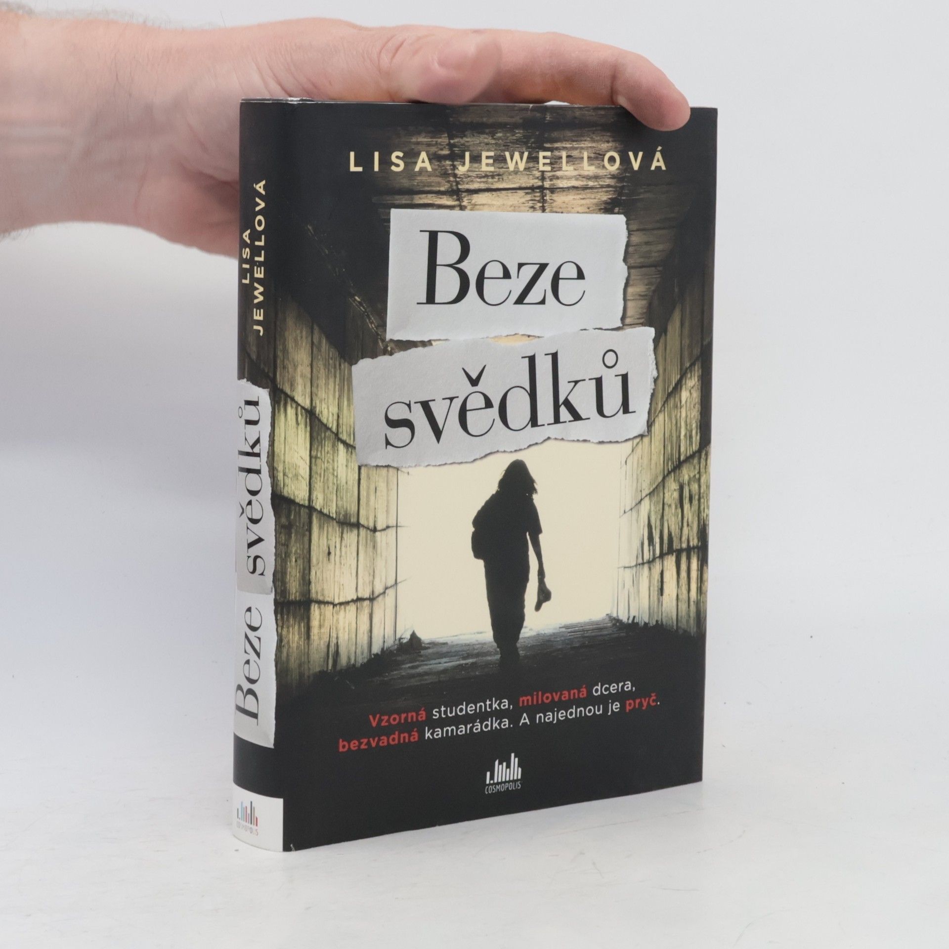 Lisa Jewell Beze svědků