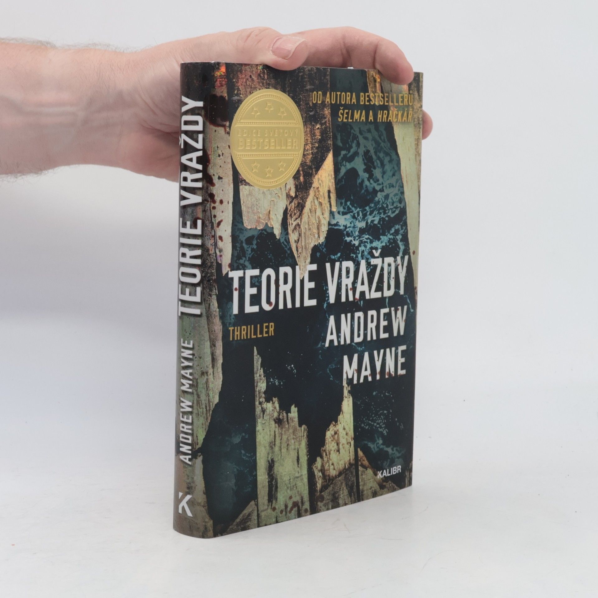 Andrew Mayne Teorie vraždy