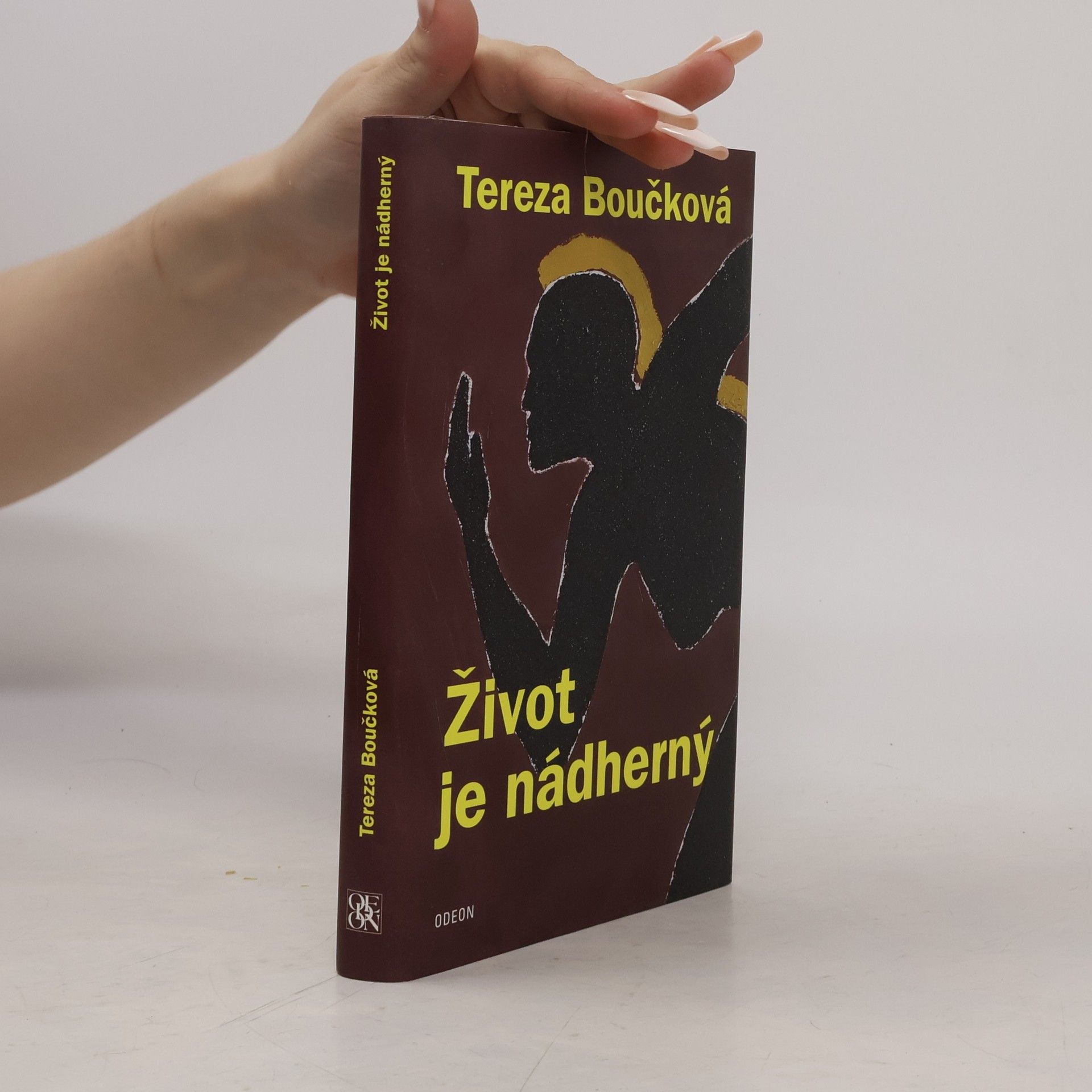 Tereza Boučková Život je nádherný