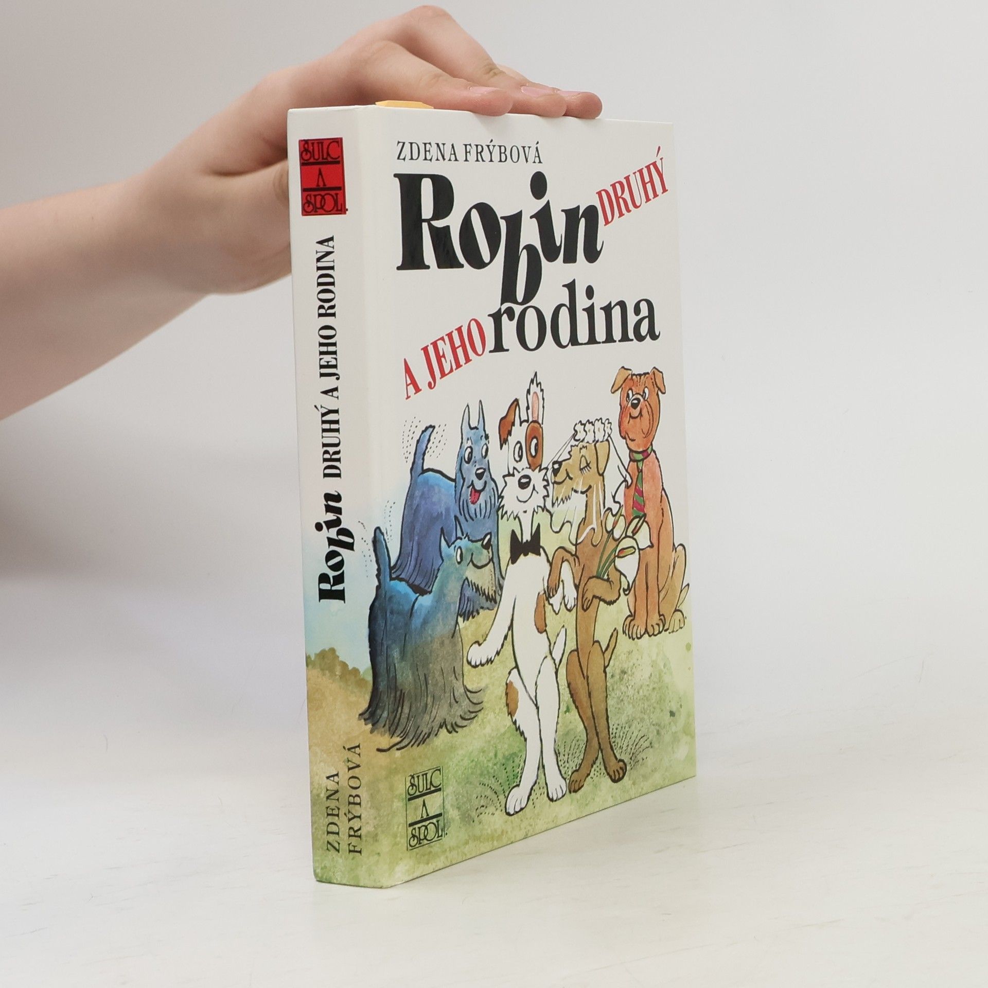 Zdena Frýbová Robin Druhý a jeho rodina