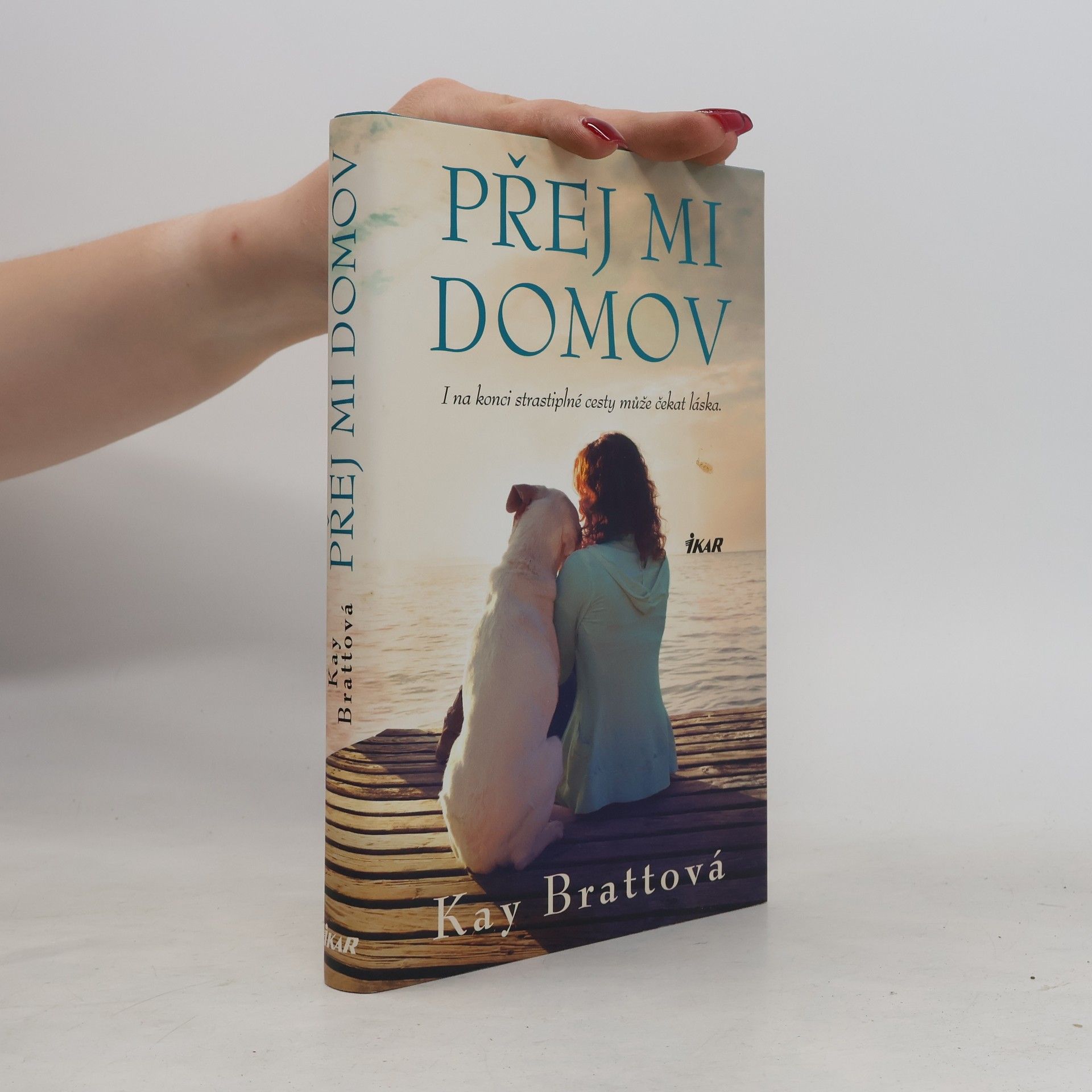 Kay Bratt Přej mi domov