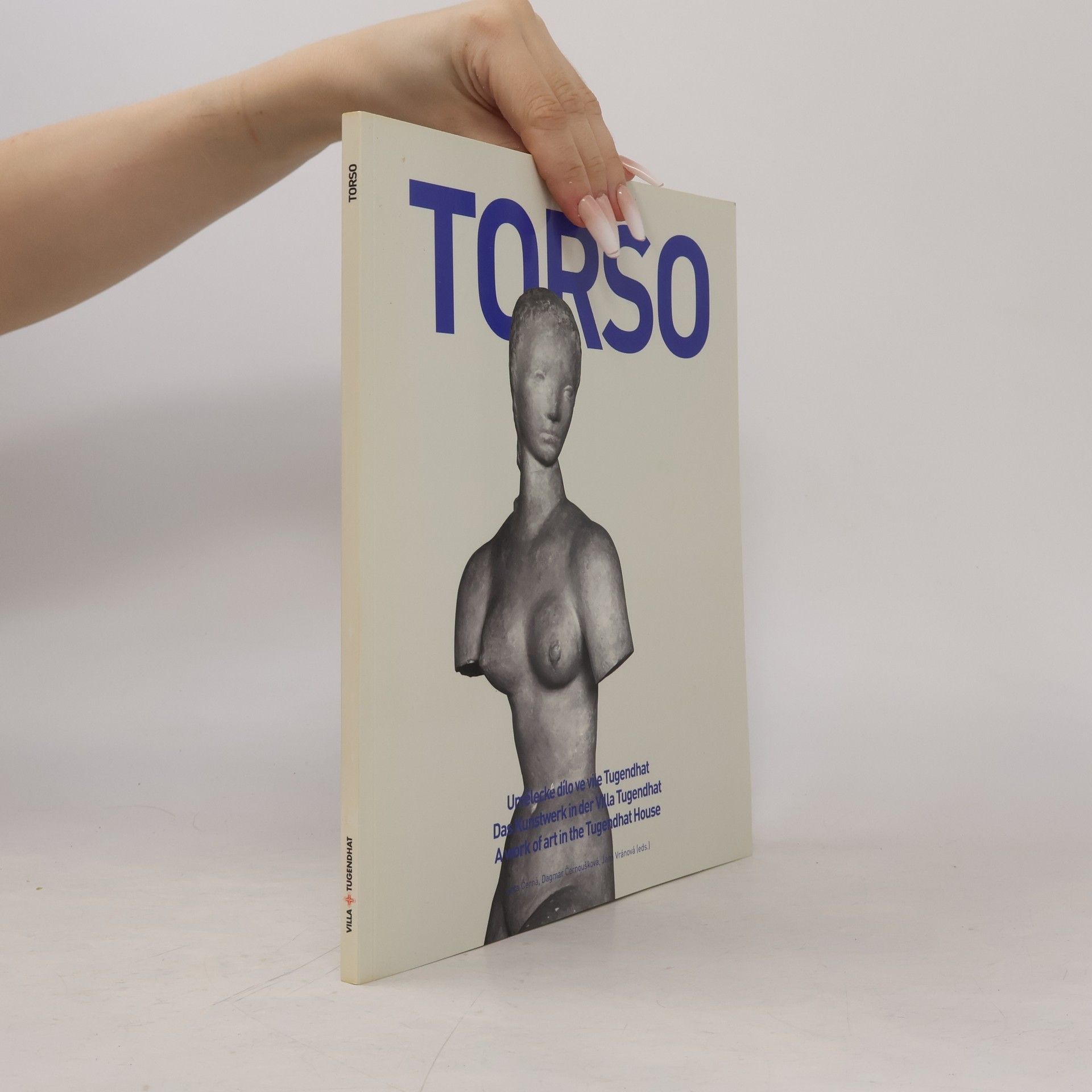 Torso