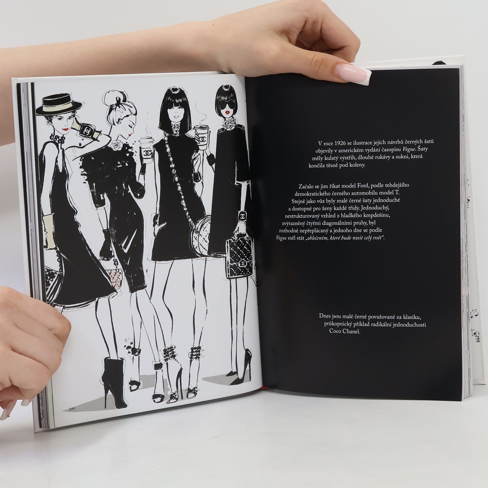 Megan Hess Coco Chanel: Ilustrovaný svět módní ikony