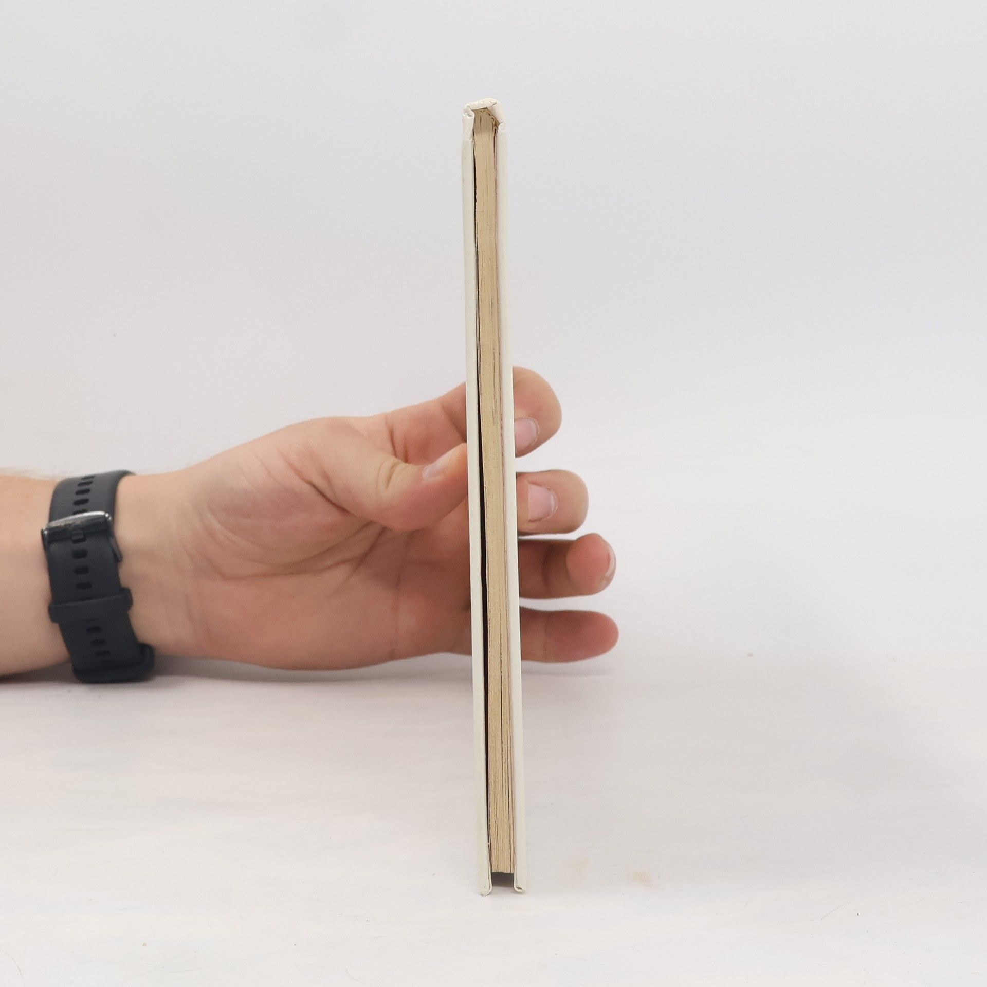 Josef Lada Brouci a hmyz