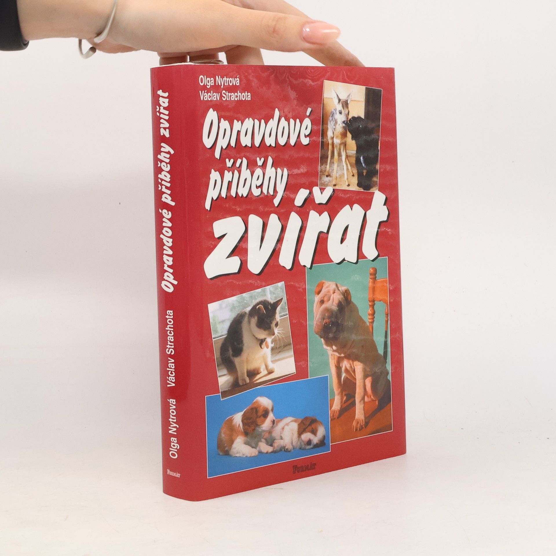 Lucie Šteflová Opravdové příběhy zvířat