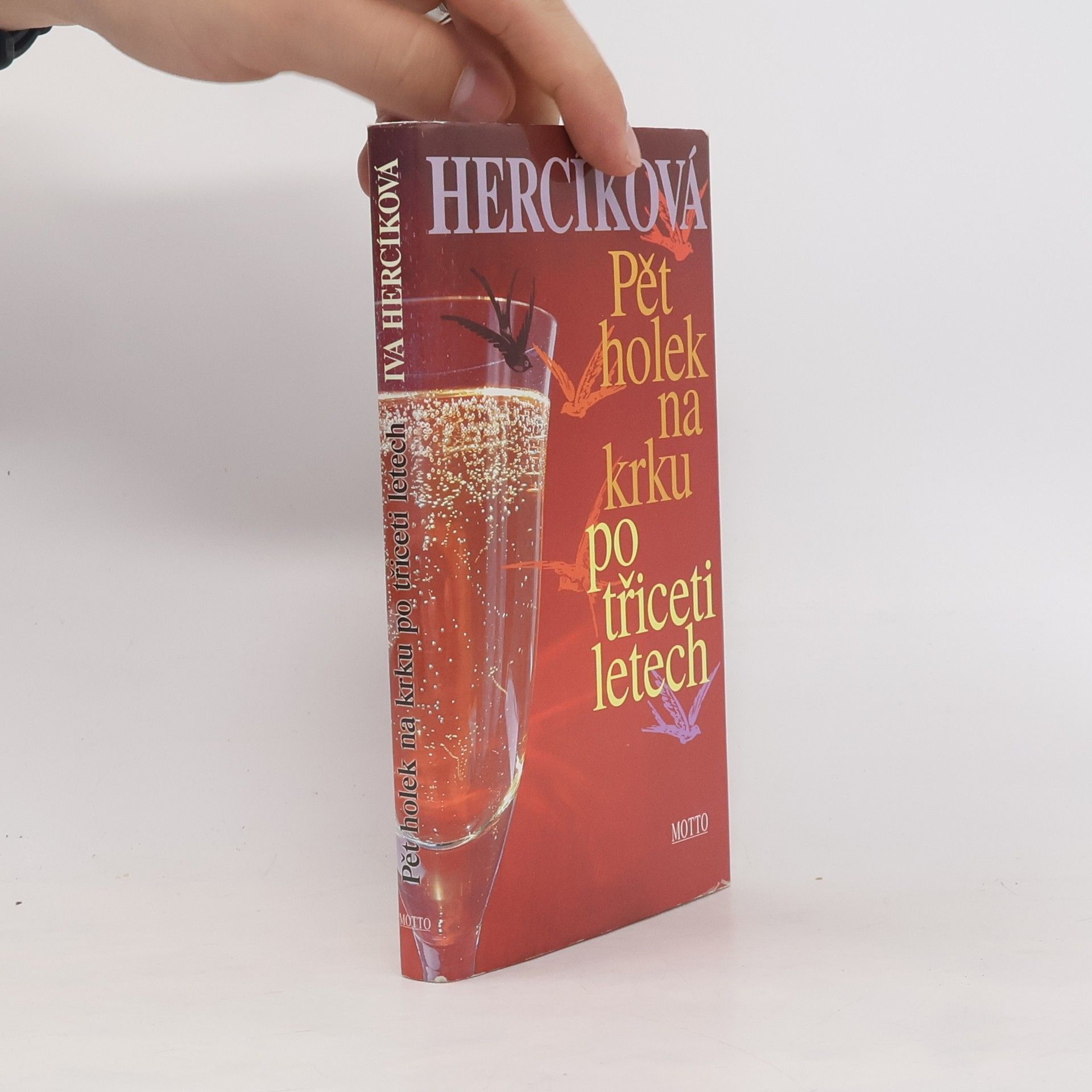 Iva Hercíková Pět holek na krku po třiceti letech