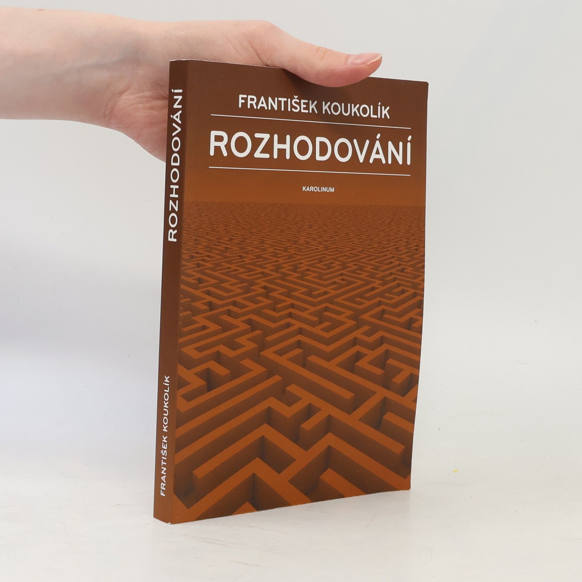 František Koukolík Rozhodování