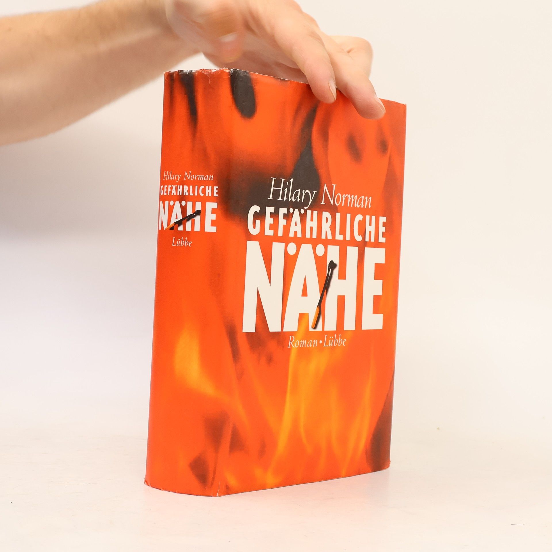 Hilary Norman Gefährliche Nähe