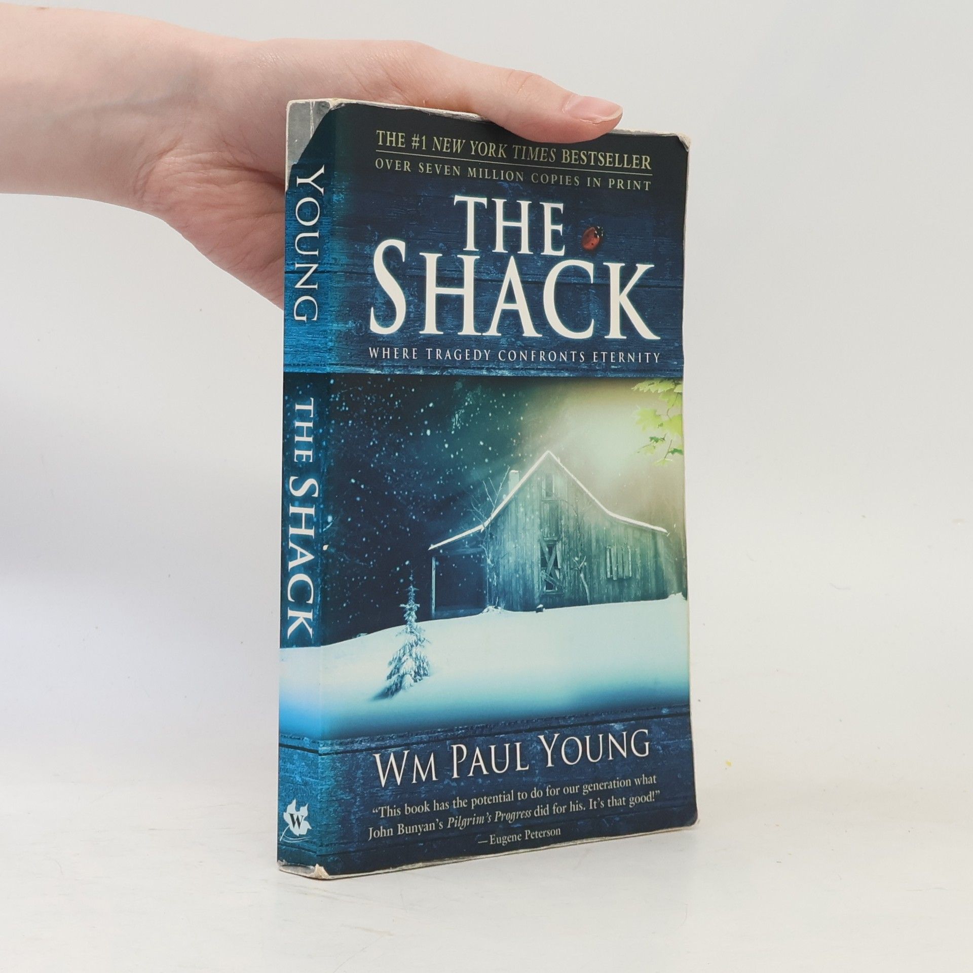 William P. Young The Shack