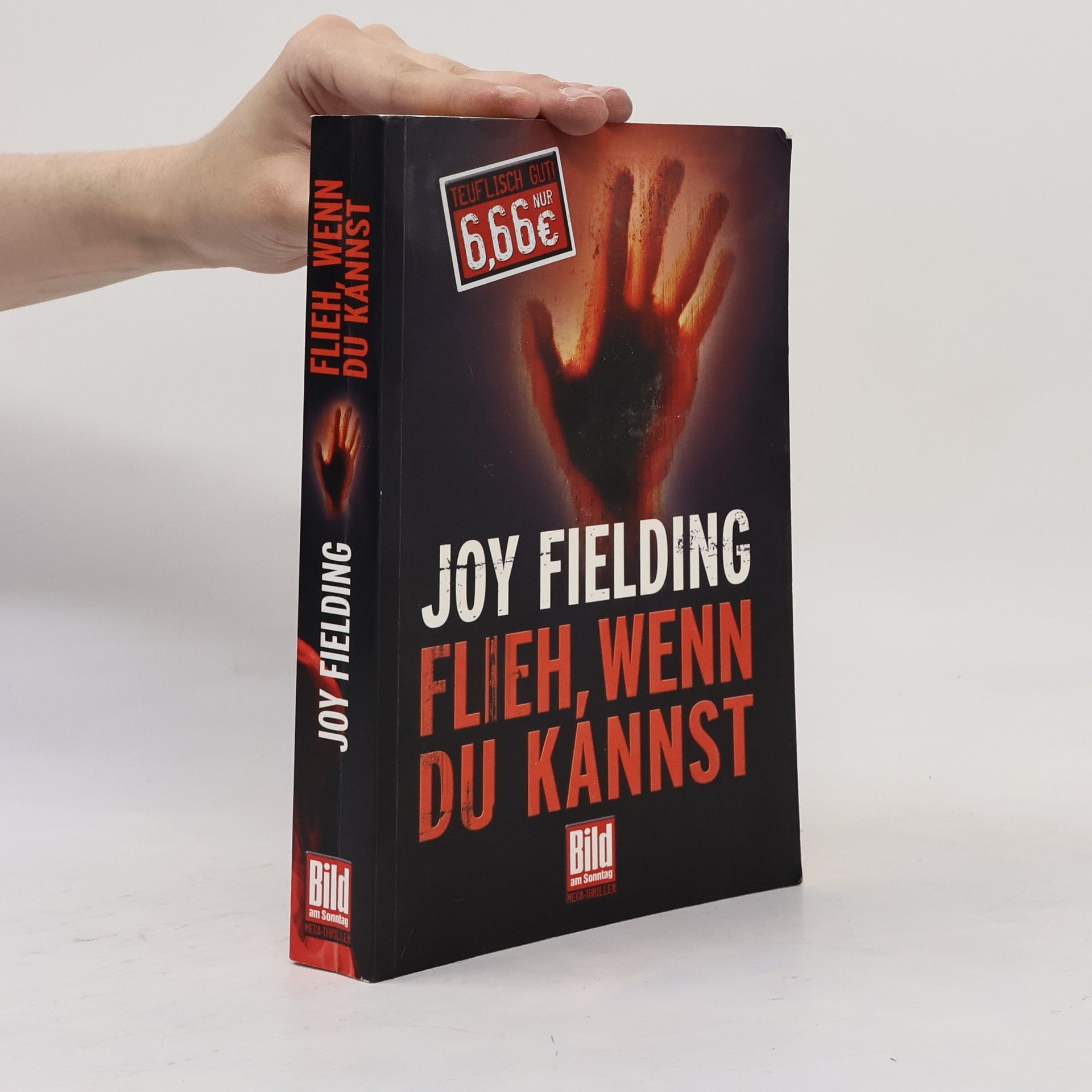 Joy Fielding Flieh, wenn du kannst