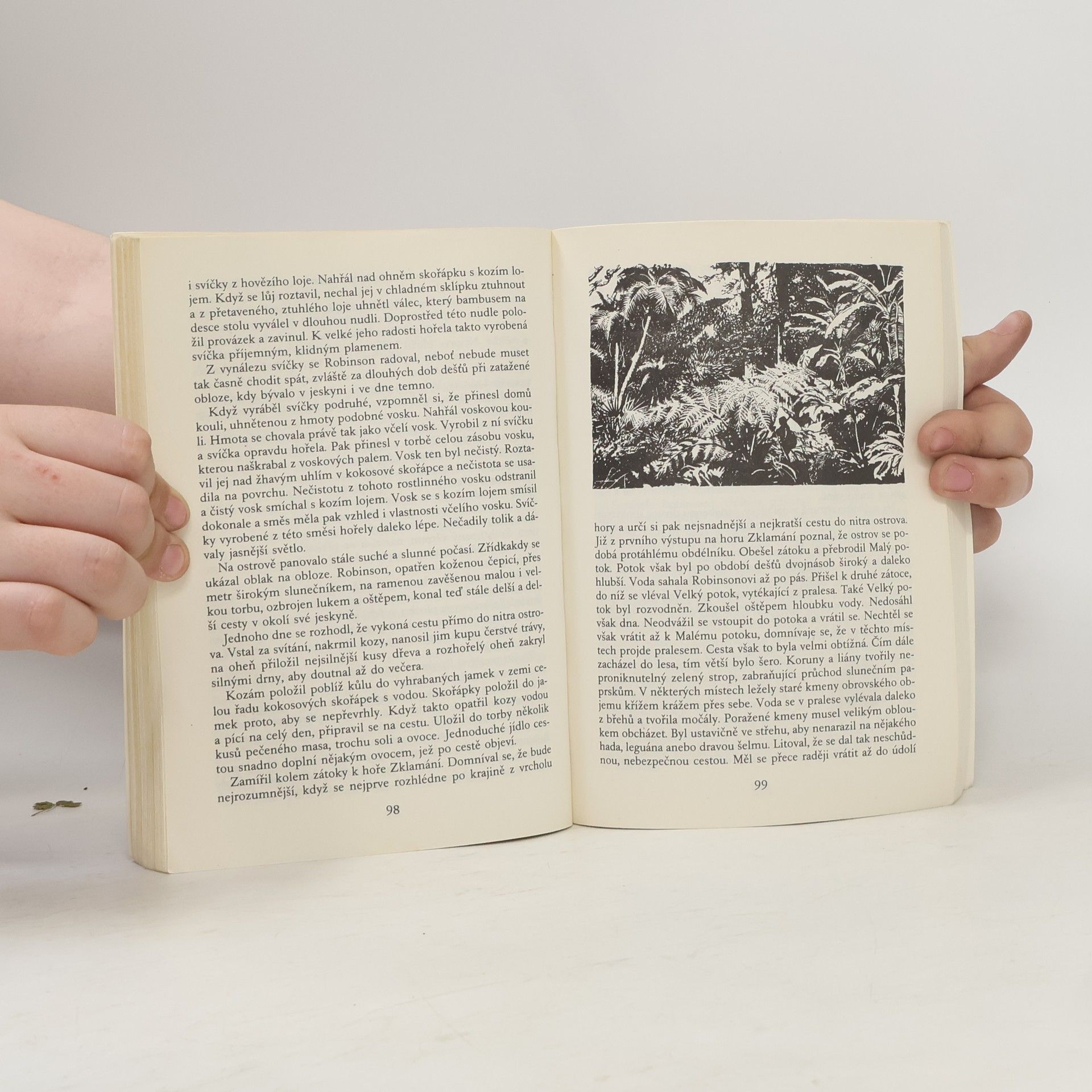 Josef Věromír Pleva Robinson Crusoe