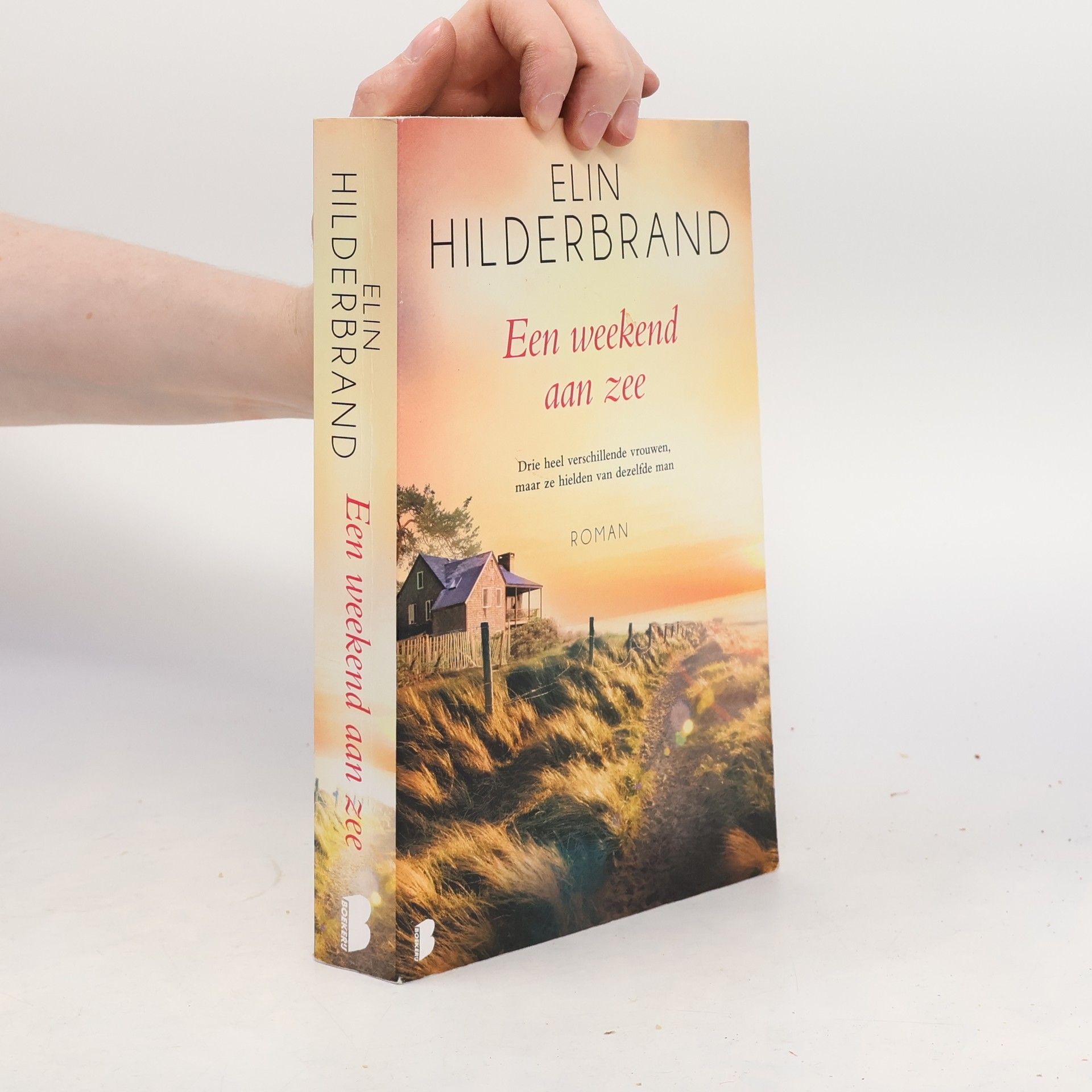 Elin Hilderbrand Een weekend aan zee