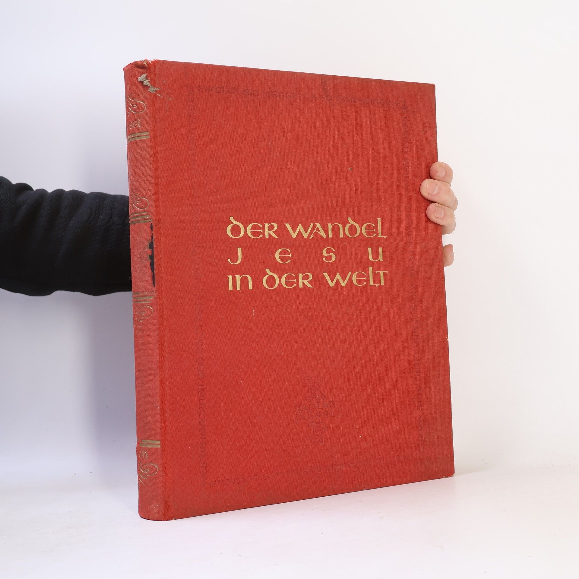 Helmut Fahsel Der Wandel Jesu in der Welt