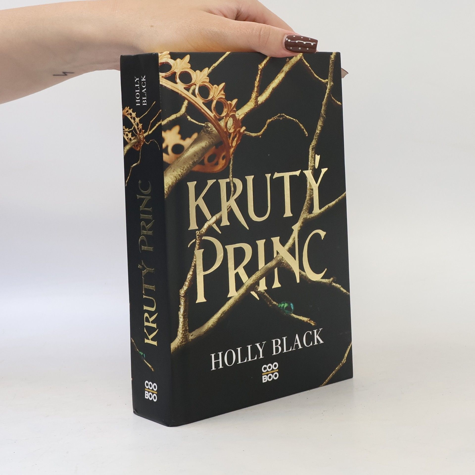 Holly Black Krutý princ