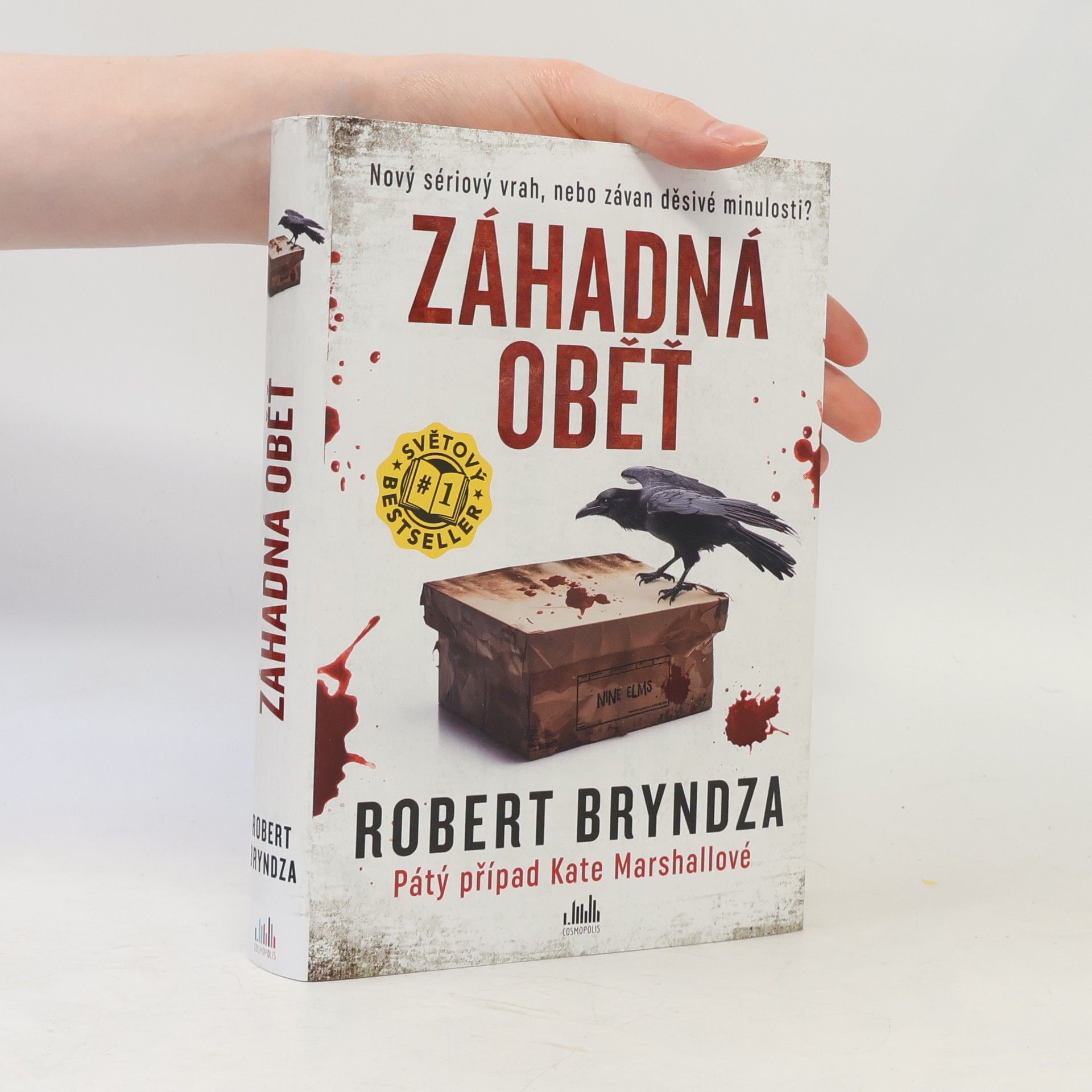 Robert Bryndza Záhadná oběť