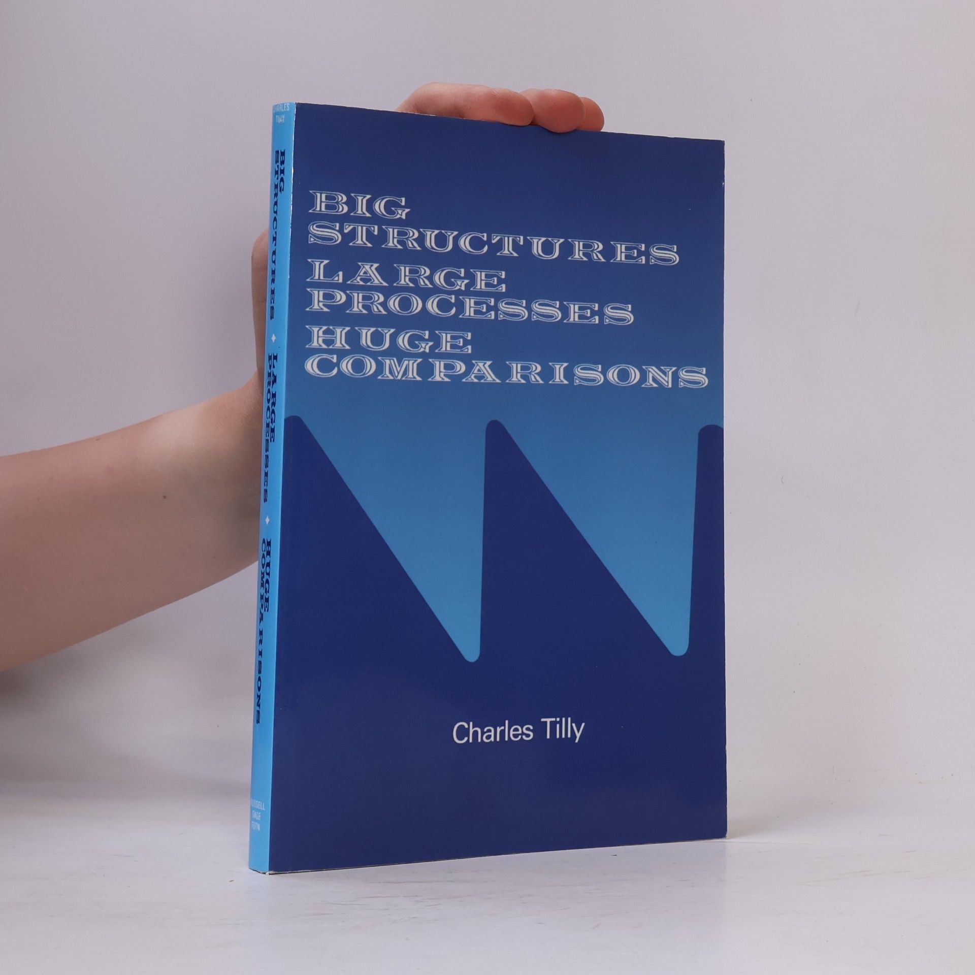 Charles Tilly Big Structures Large Processes Huge Comparisons