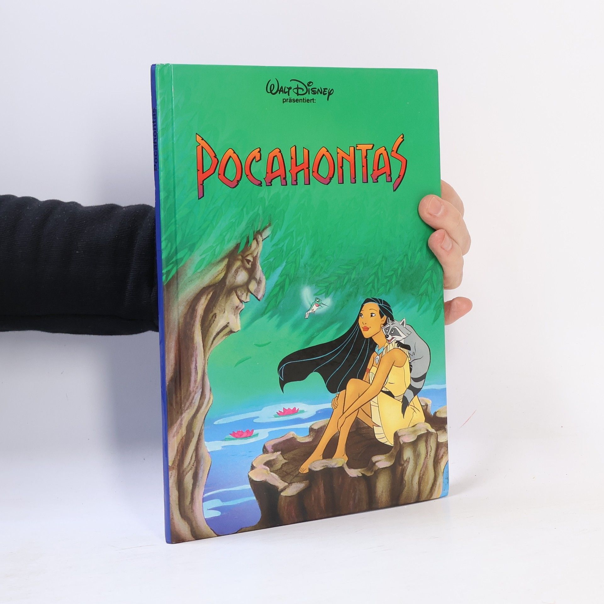 Autorenkollektiv Pocahontas