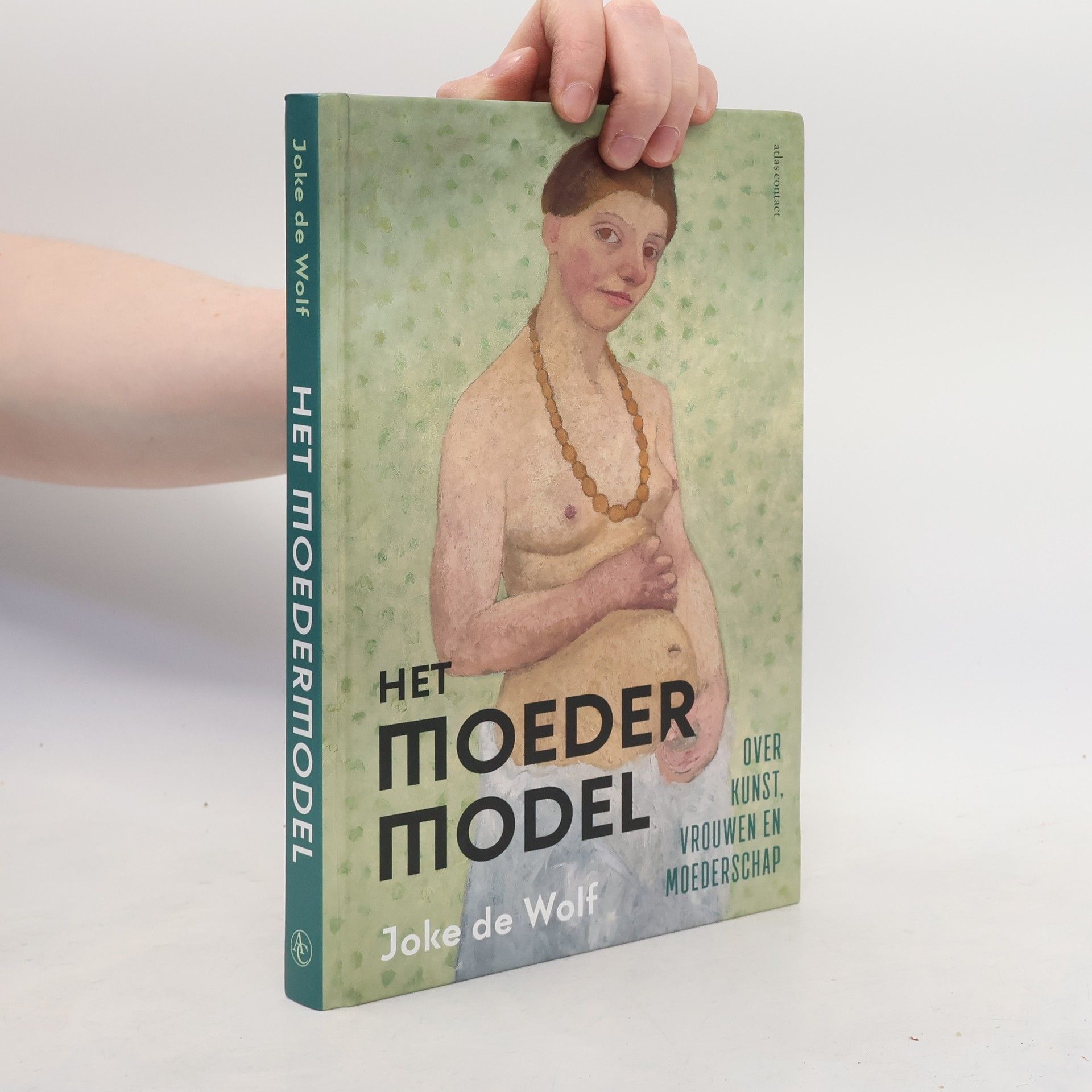 Joke de Wolf Het moedermodel: over kunst, vrouwen en moederschap