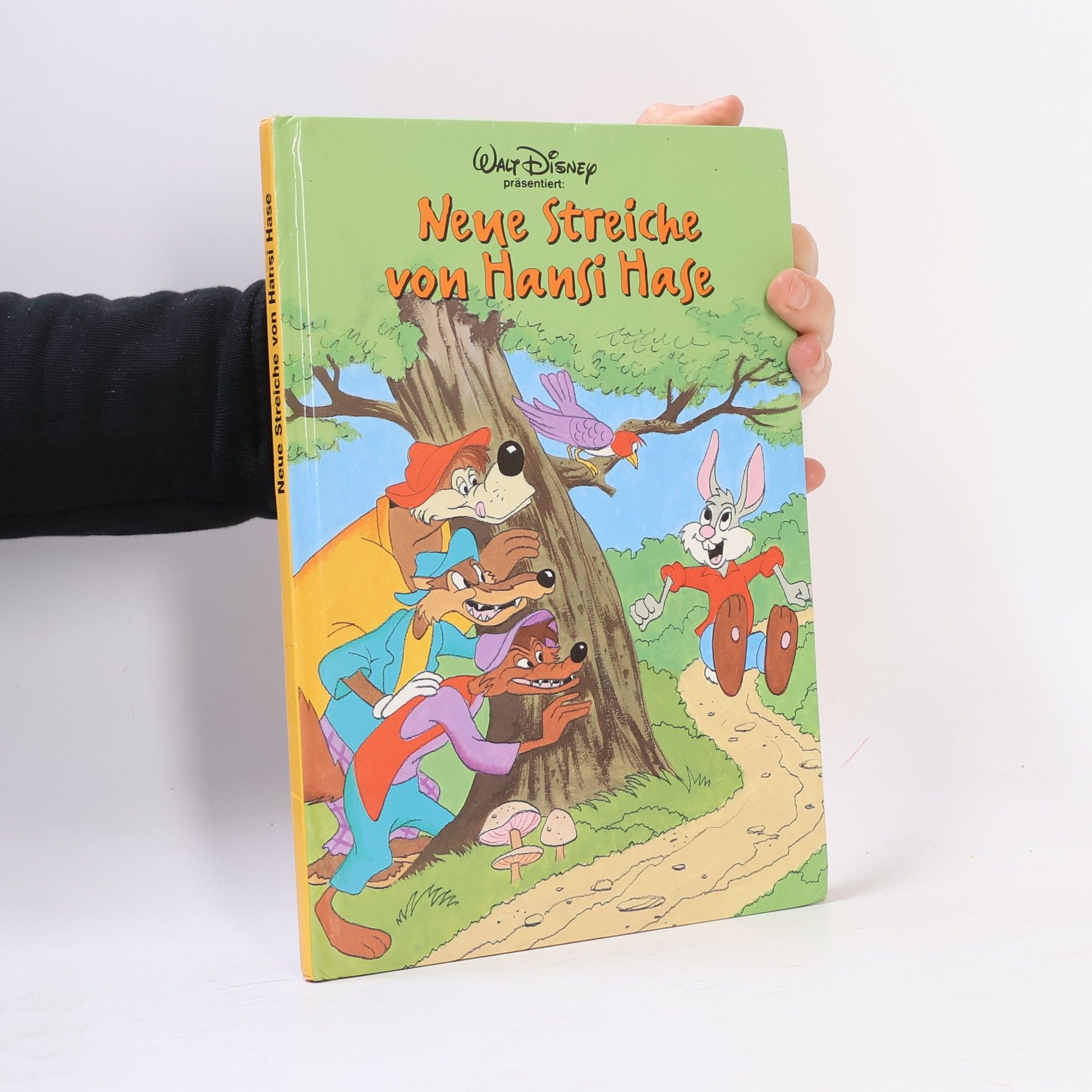 Autorenkollektiv Neue Streiche von Hansi hase