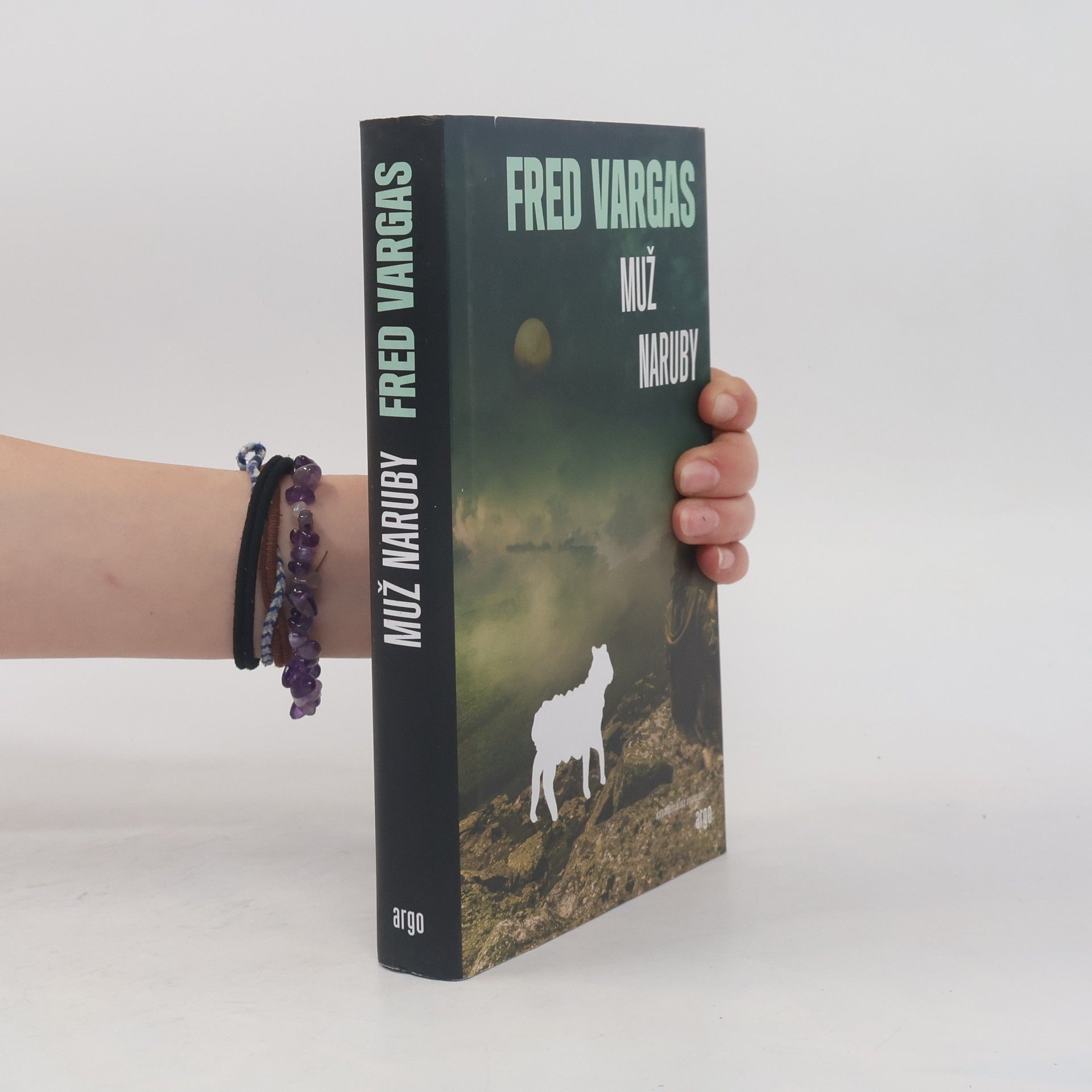 Fred Vargas Muž naruby
