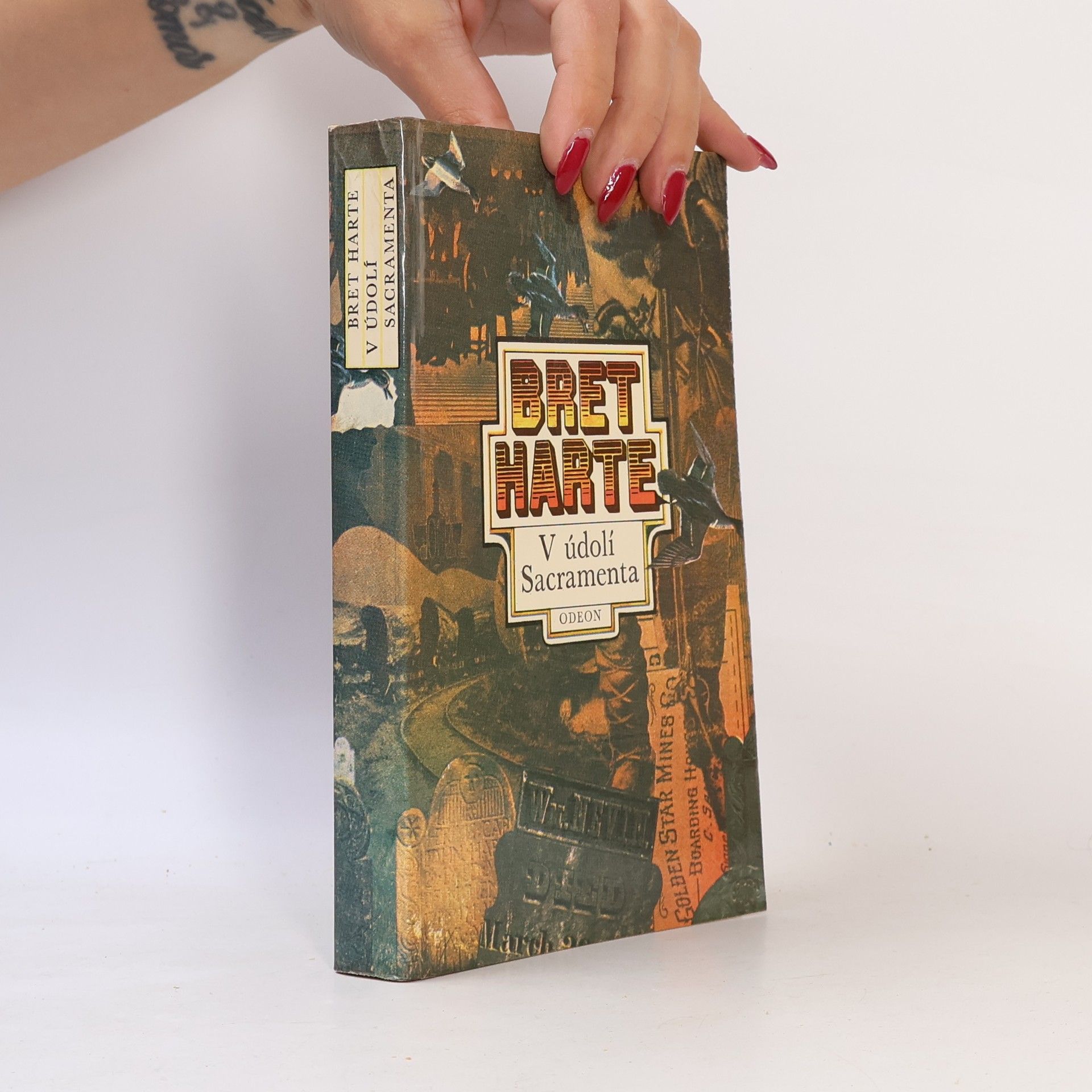 Bret Harte V údolí Sacramenta