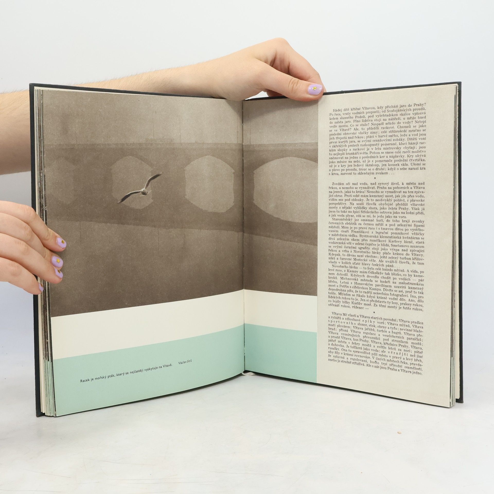 Adolf Hoffmeister Fotorok 58