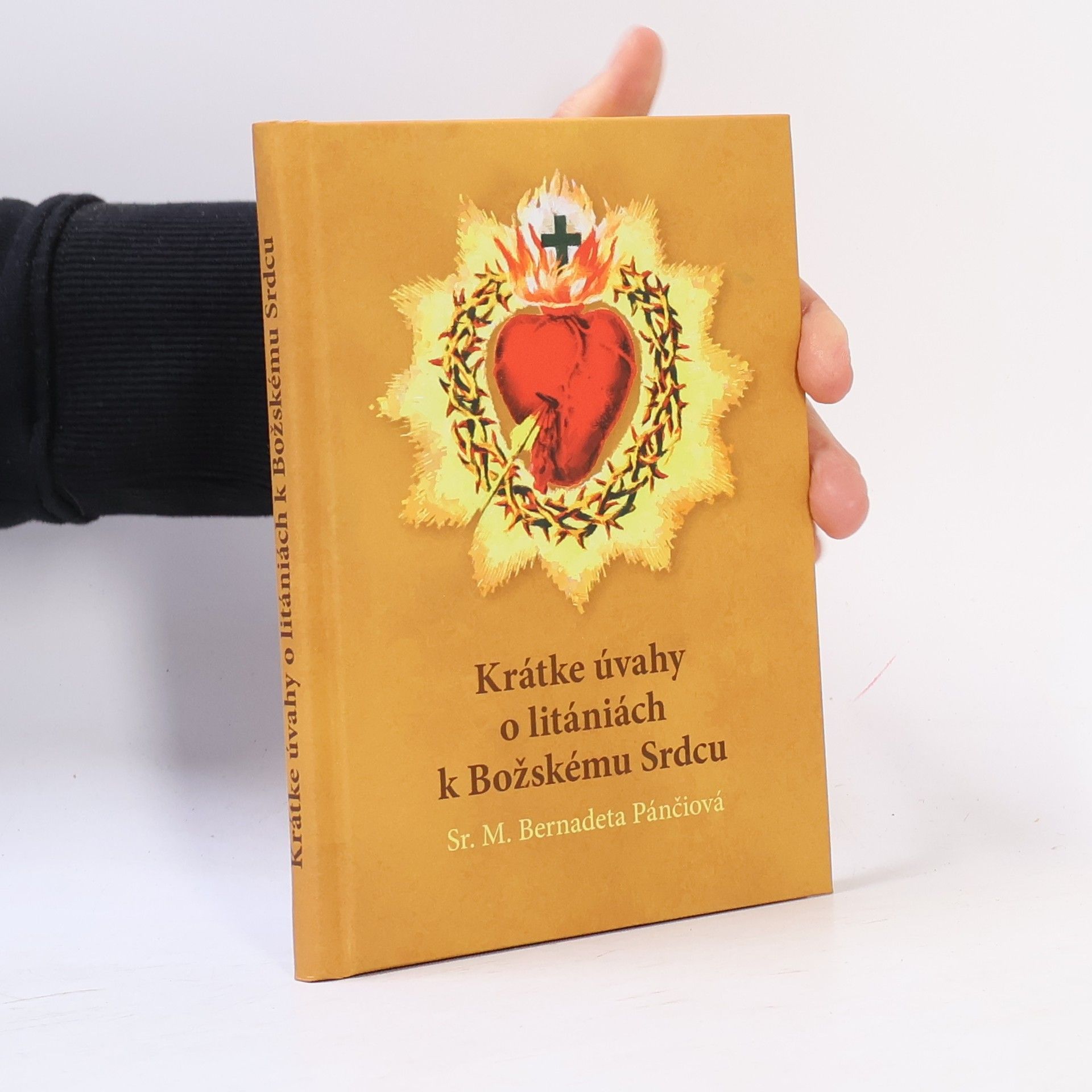 Bernadeta Pánčiová Krátke úvahy o litániách k Božskému Srdcu