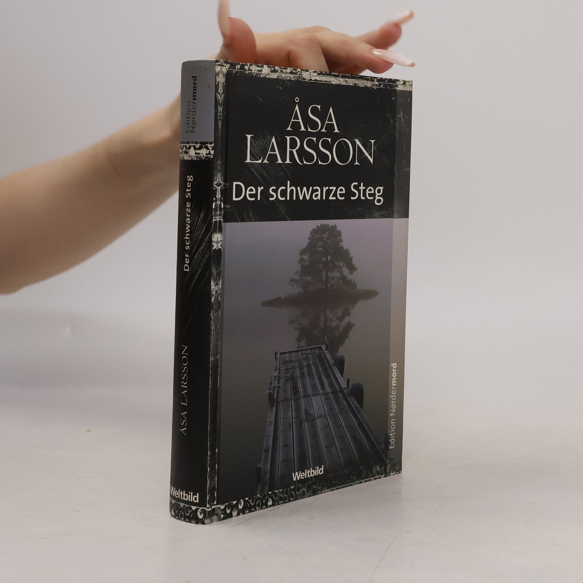 Åsa Larsson Der schwarze Steg