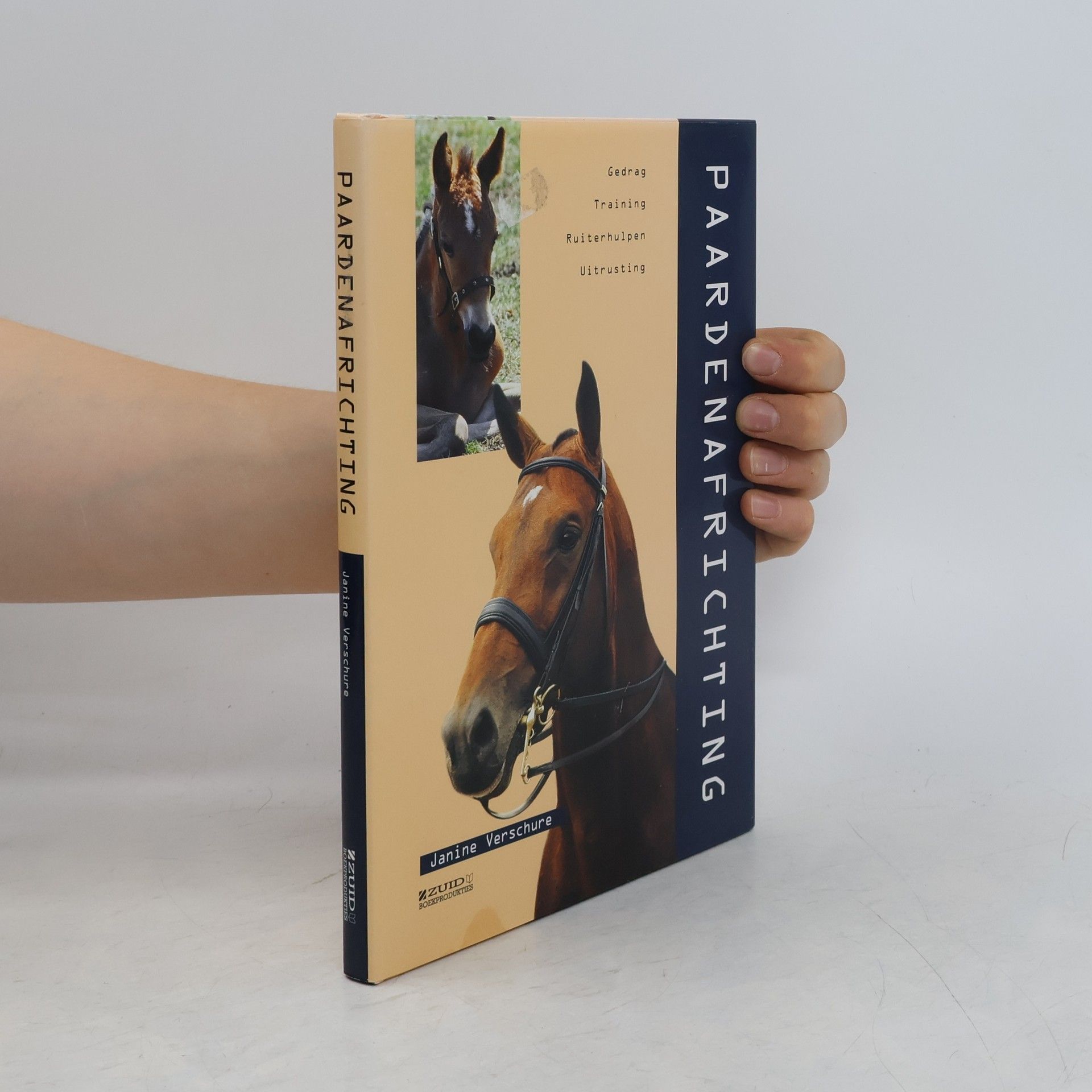 Janine Verschure Paardenafrichting