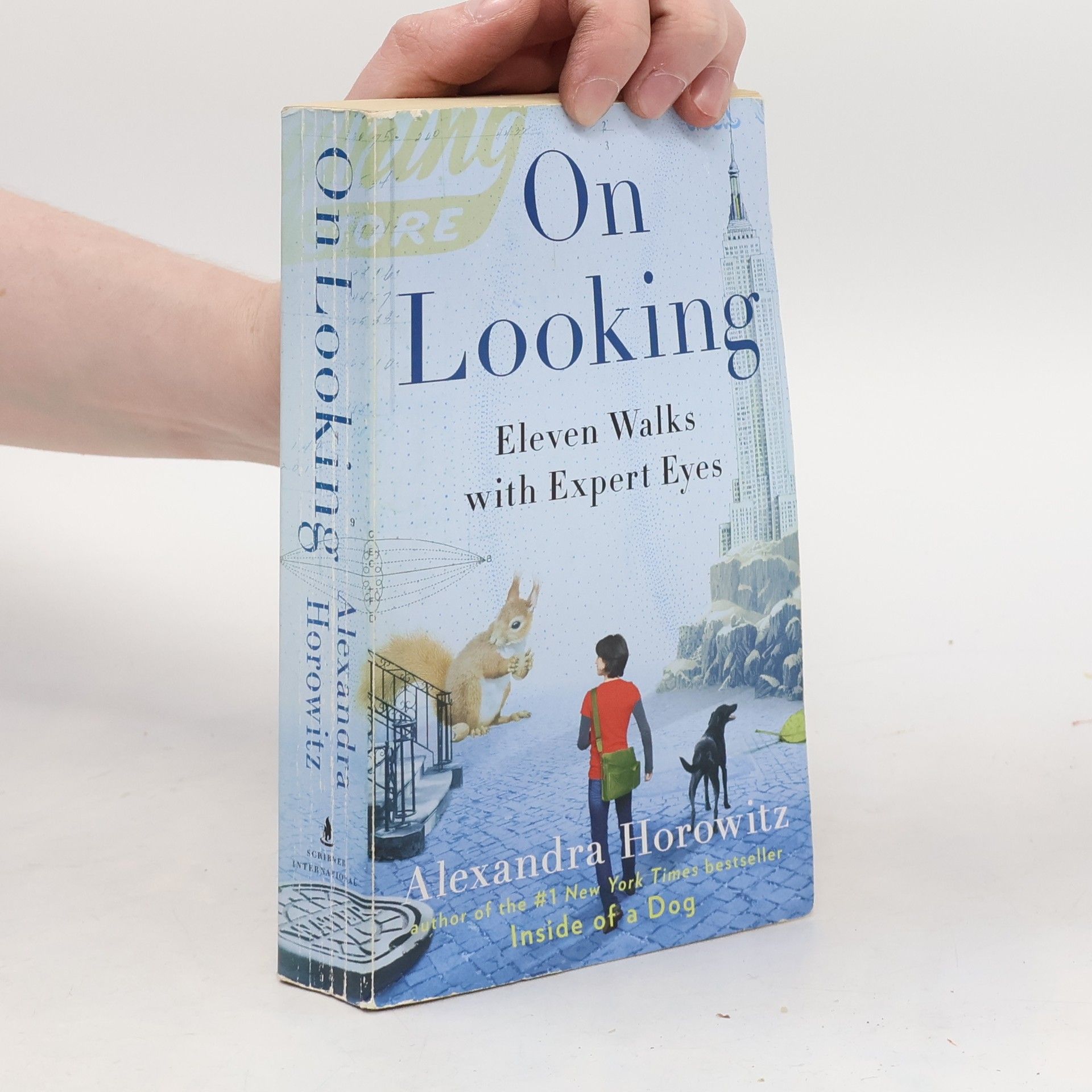 Alexandra Horowitz On Looking