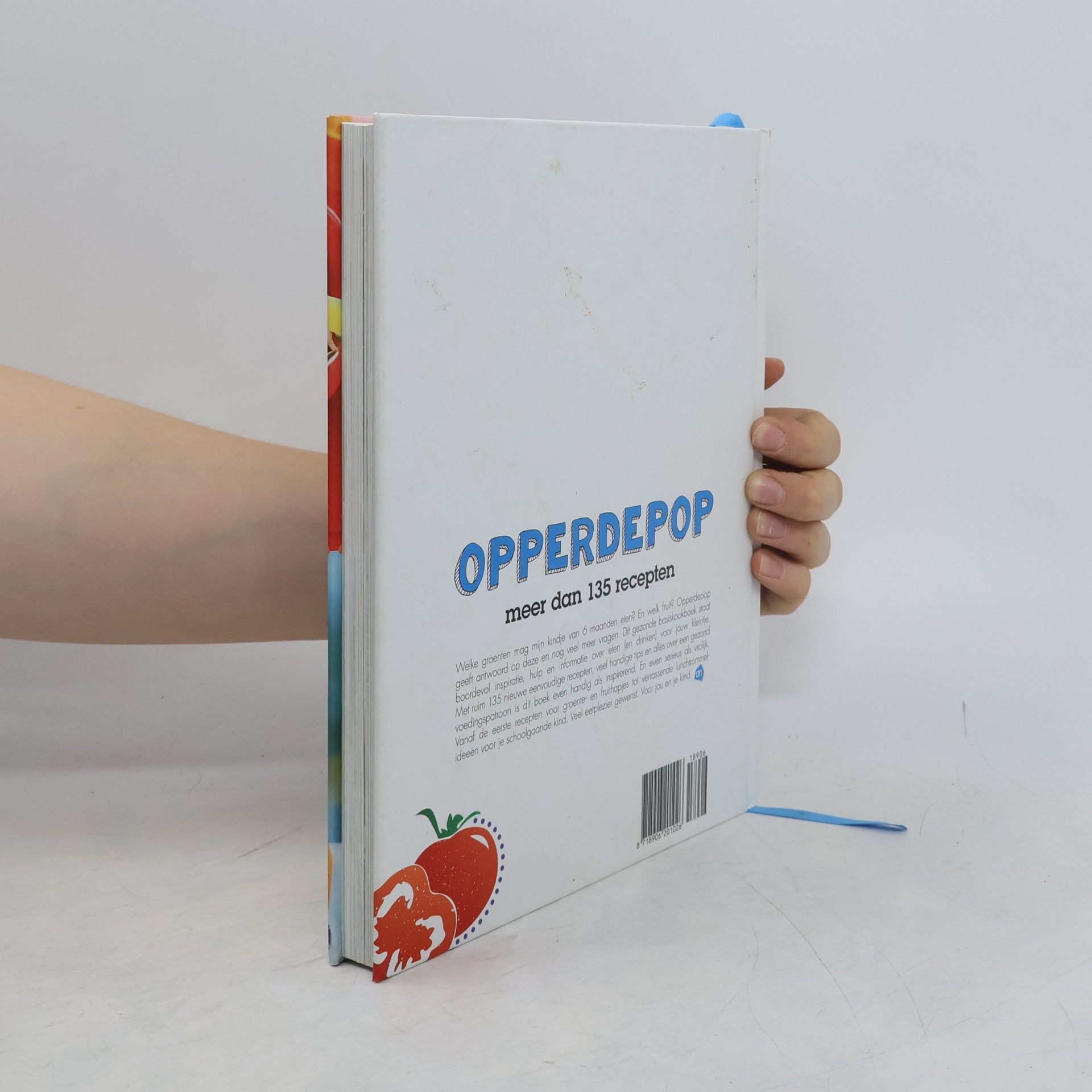 Autorenkollektiv Basiskookboek opperdepop