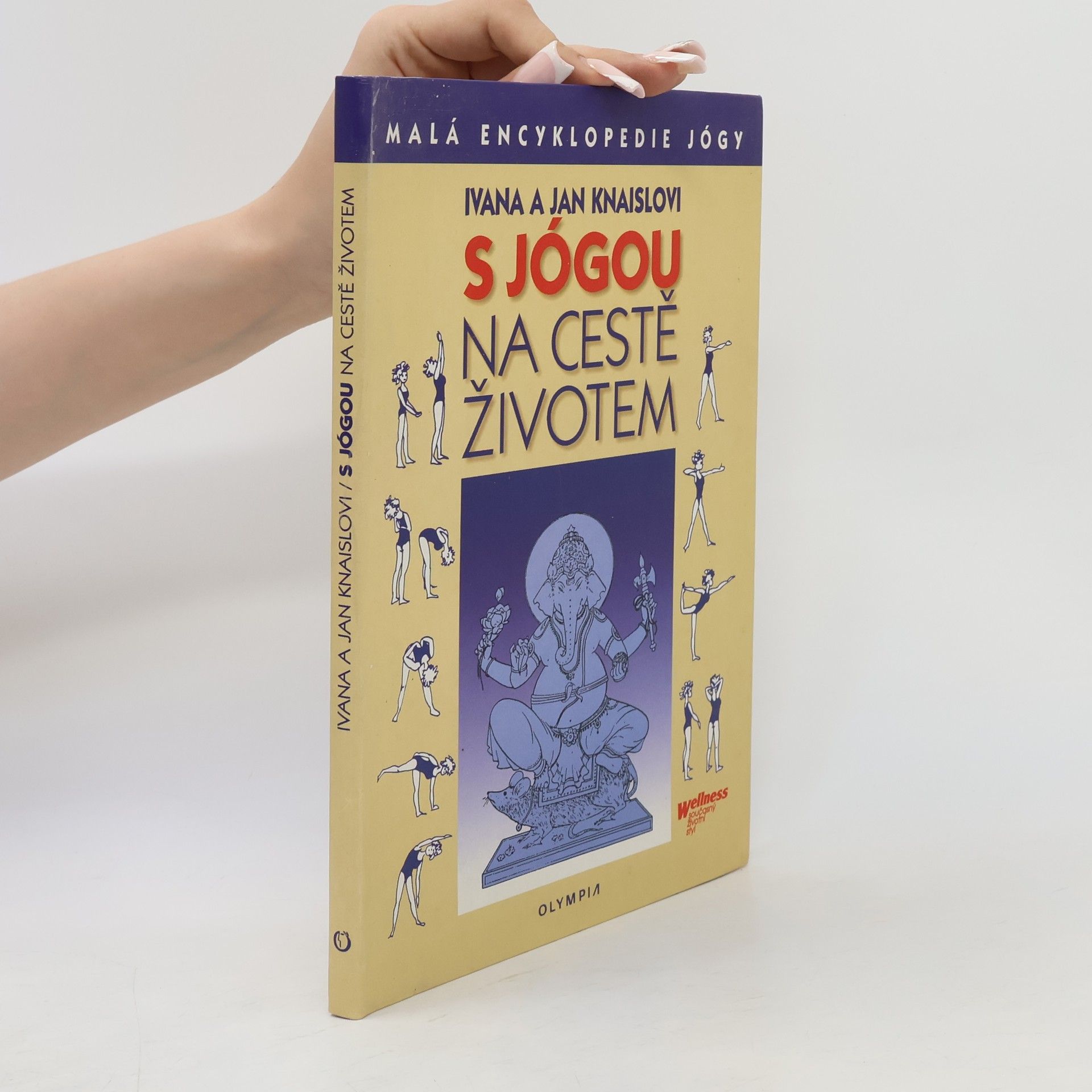 Jan Knaisl S jógou na cestě životem. Malá encyklopedie jógy