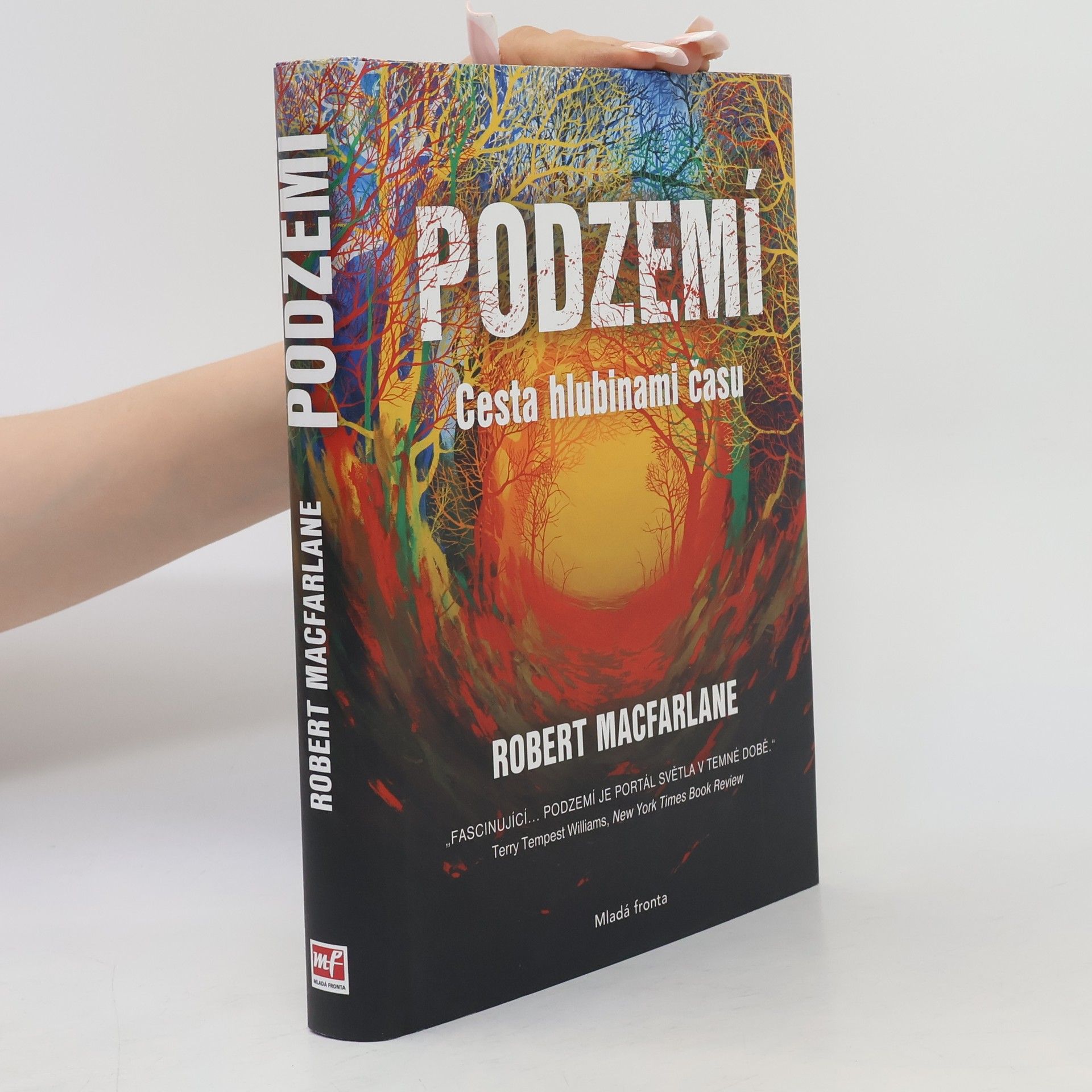 Robert McFarlane Podzemí : cesta hlubinami času