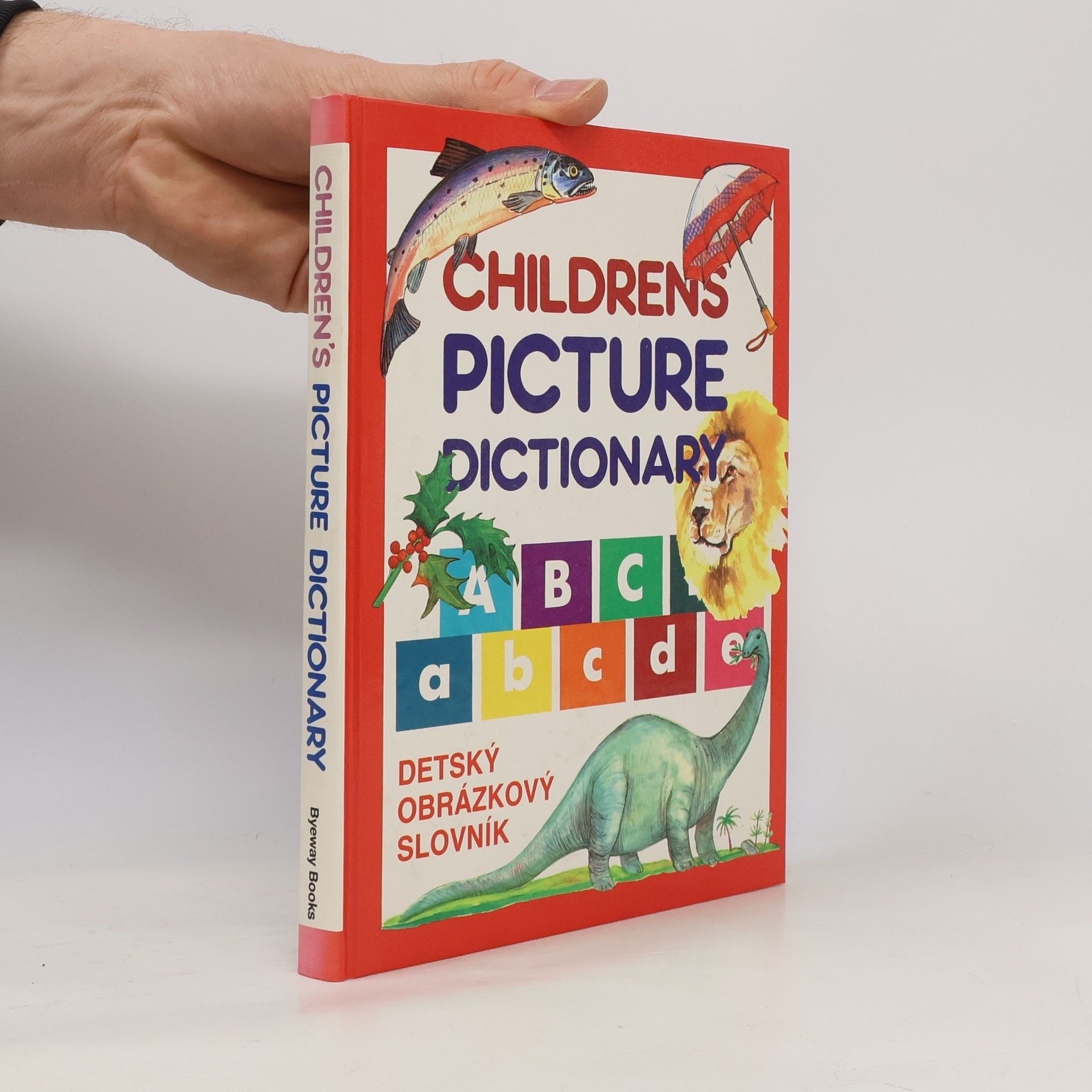 Kolektív autorov Children's Picture Dictionary