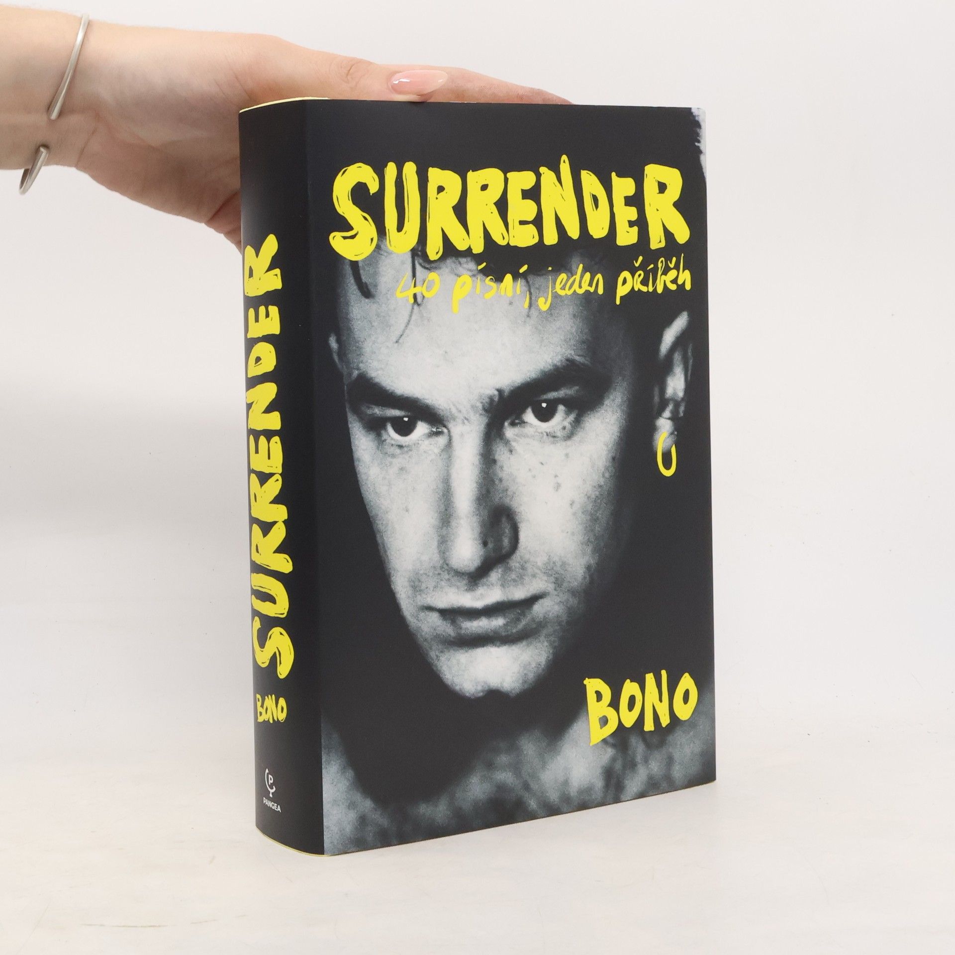 Bono Surrender : 40 písní, jeden příběh