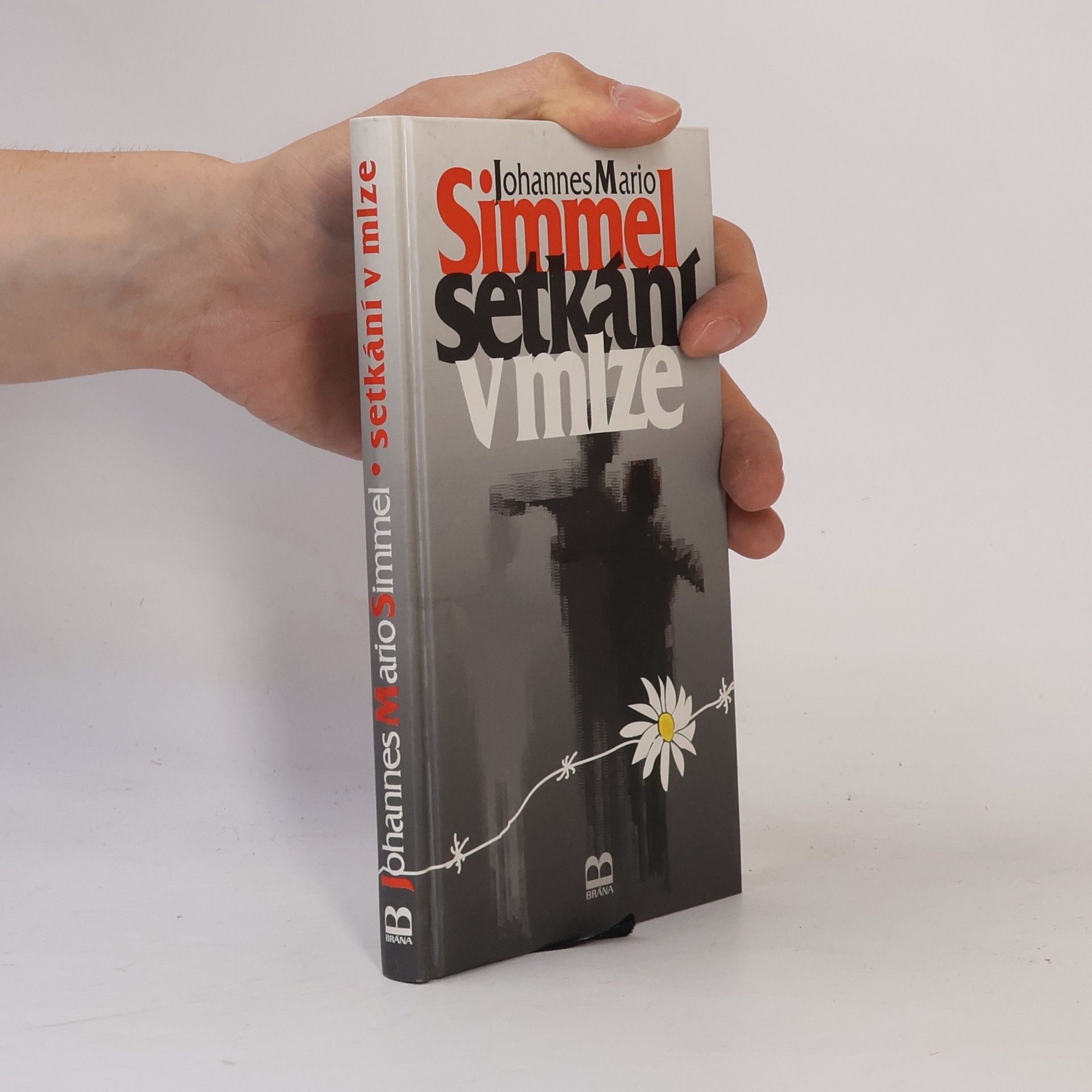 Johannes Mario Simmel Setkání v mlze