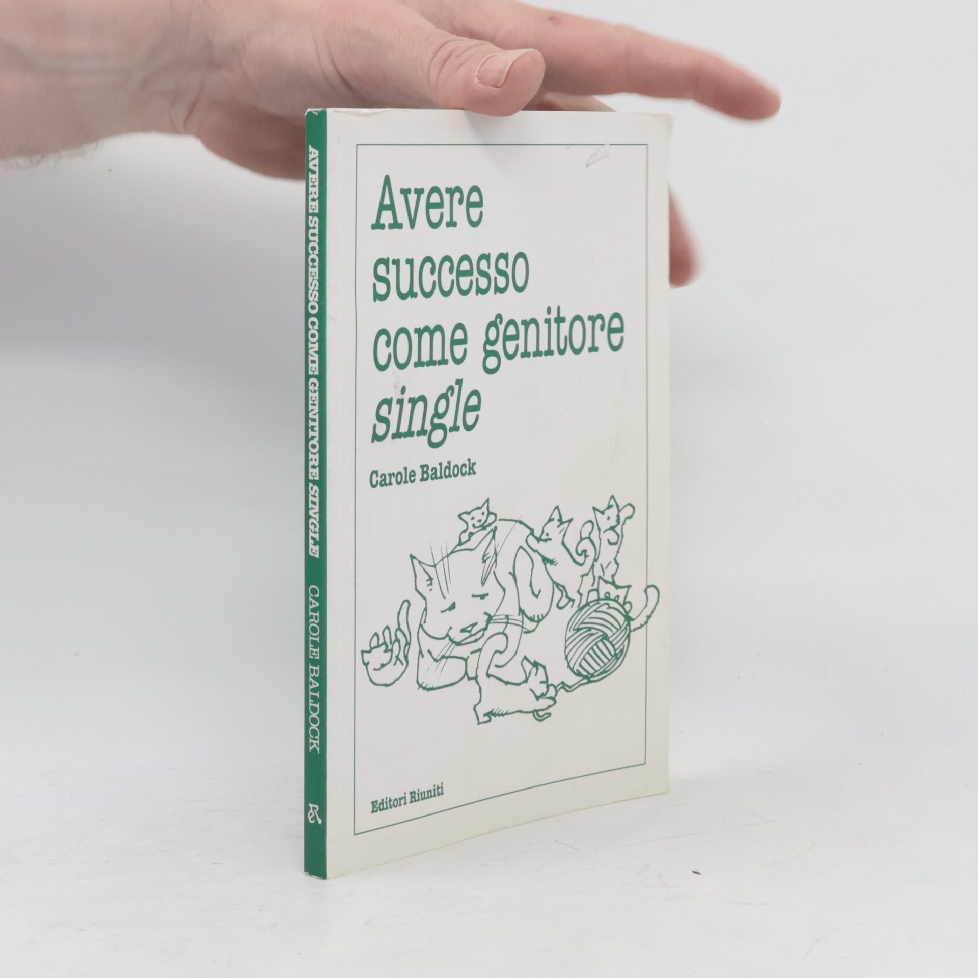 Lo psicologo di famiglia: Avere successo come genitore single