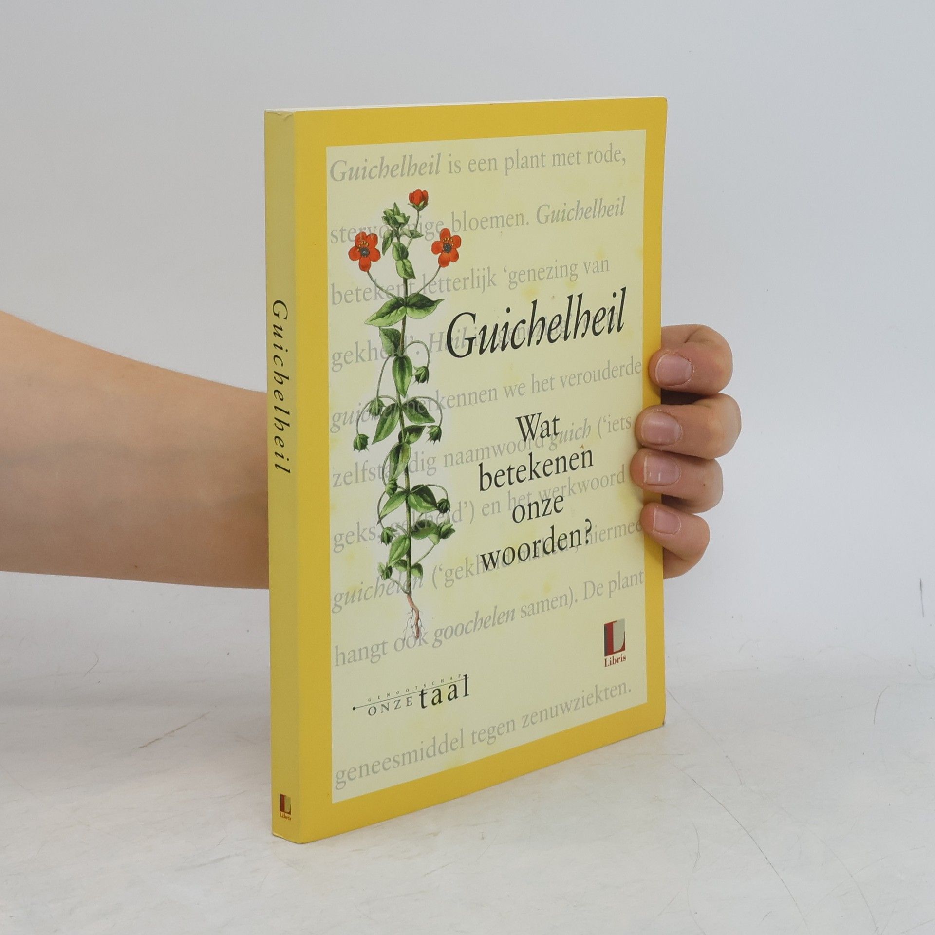 Riemer Reinsma Guichelheil