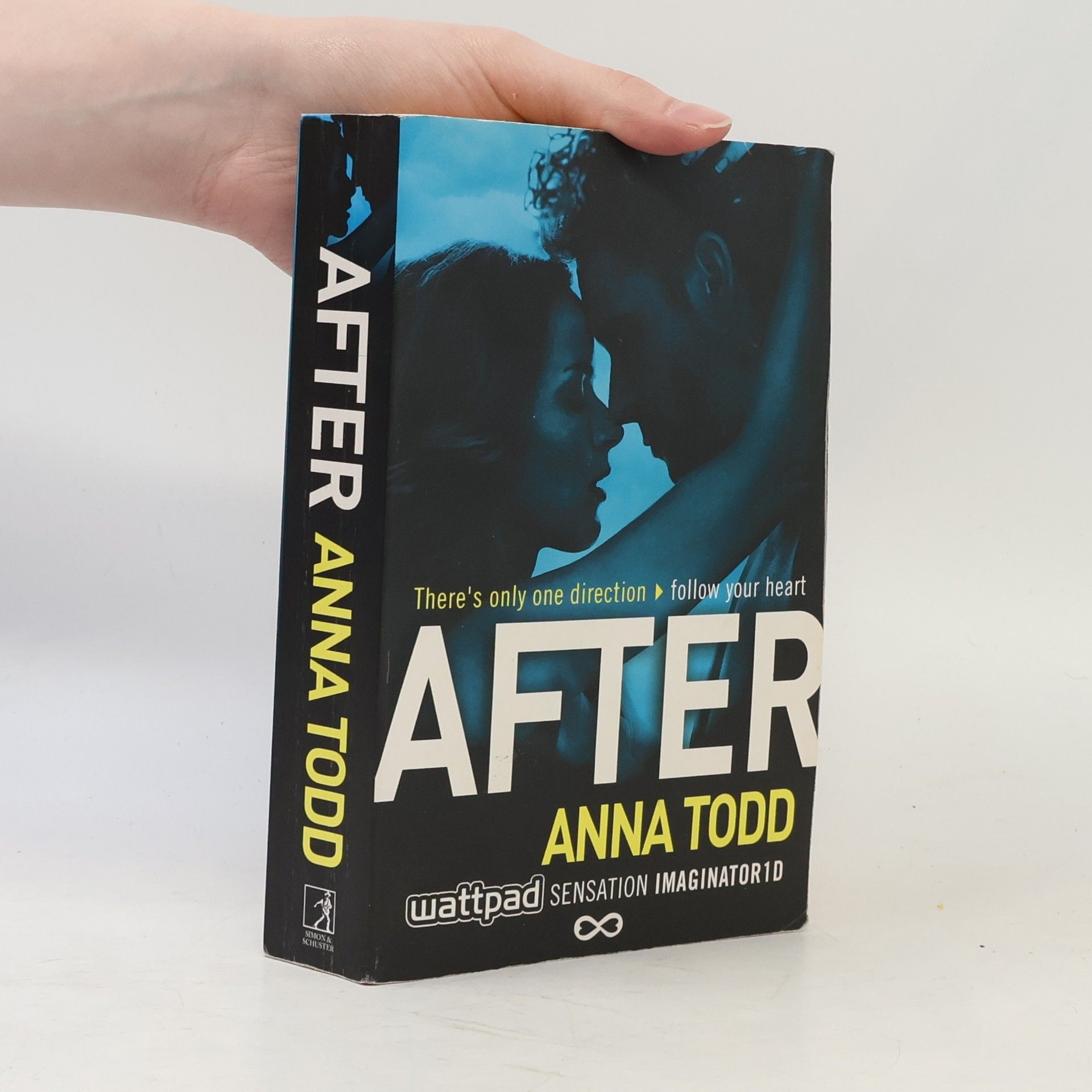 Anna Todd After