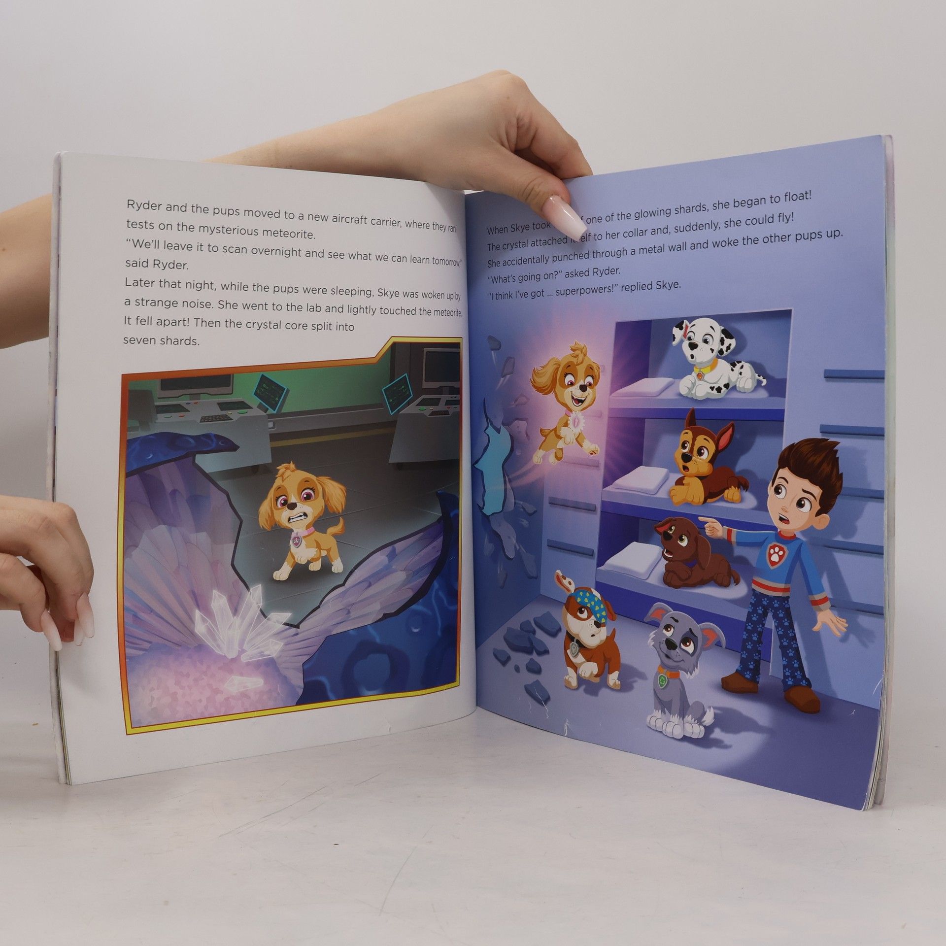 Paw Patrol PAW Patrol Mighty Movie Picture Book