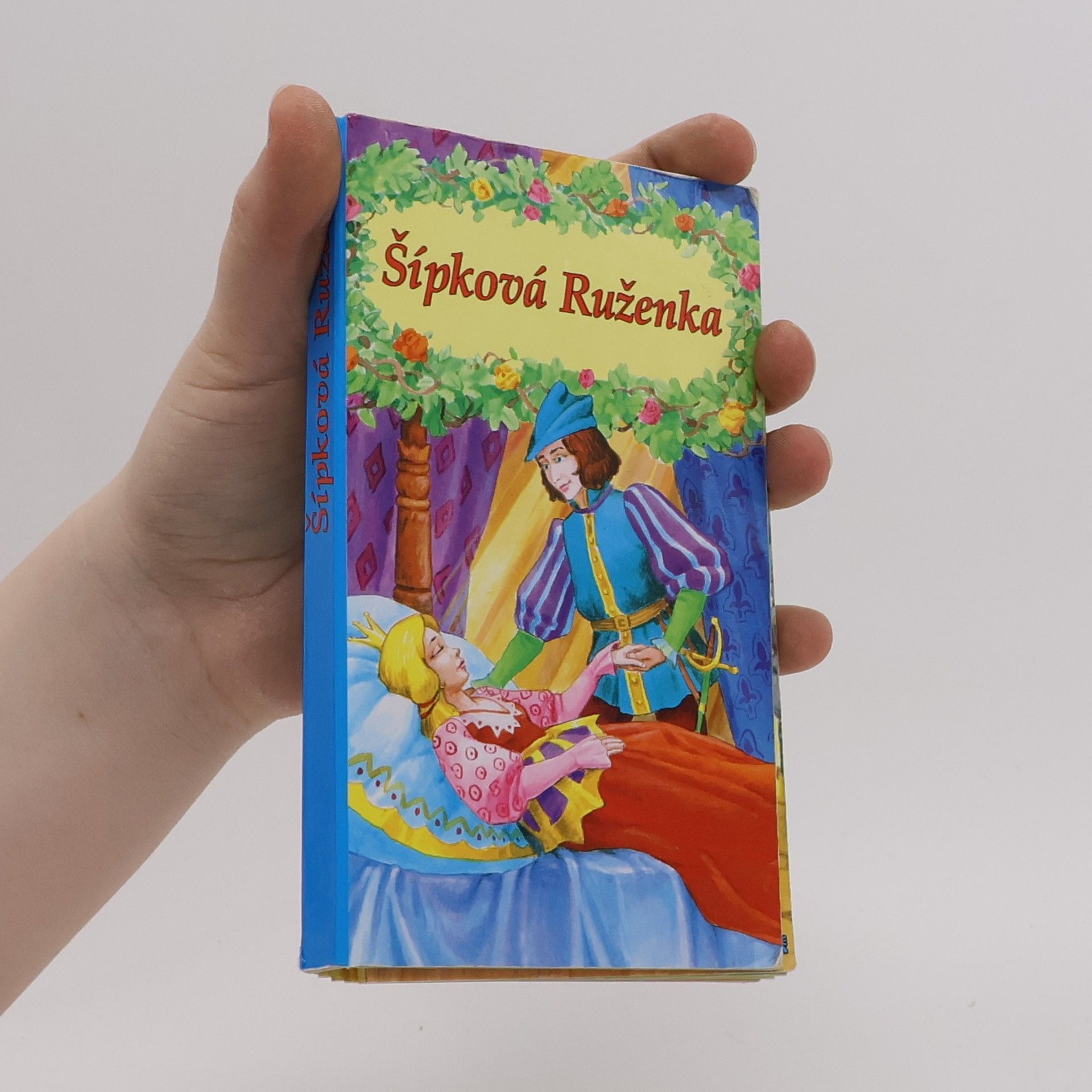 Various authors Šípková Růženka