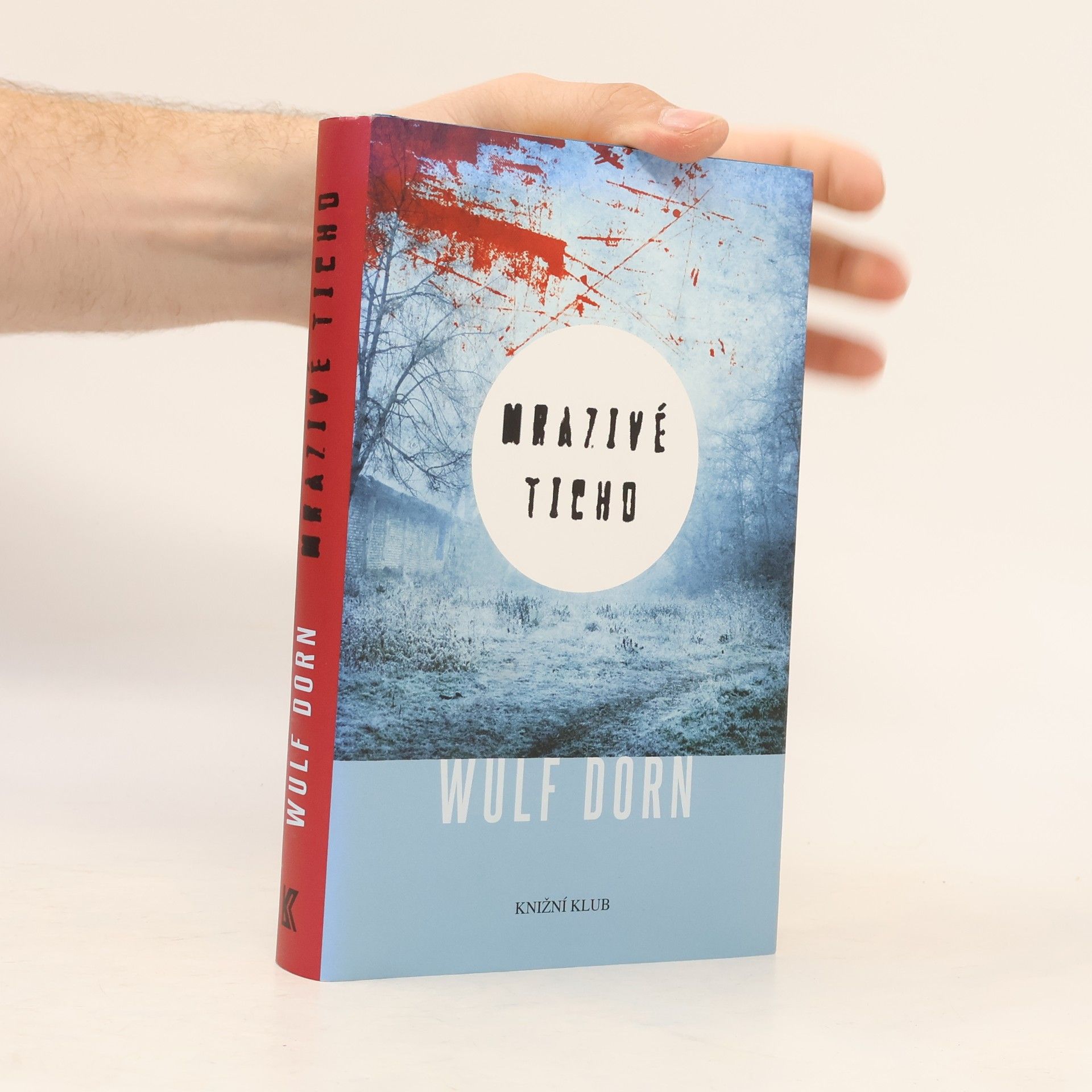 Wulf Dorn Mrazivé ticho