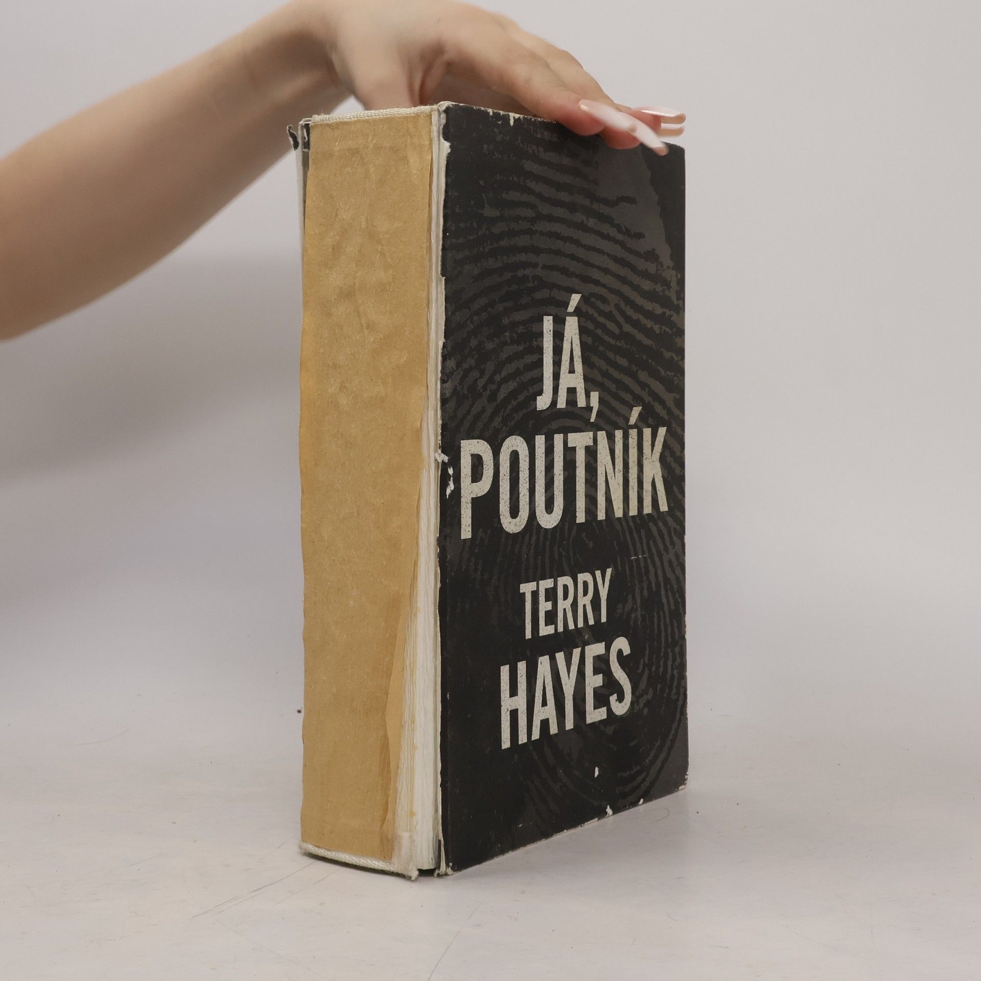 Terry Hayes Já, Poutník