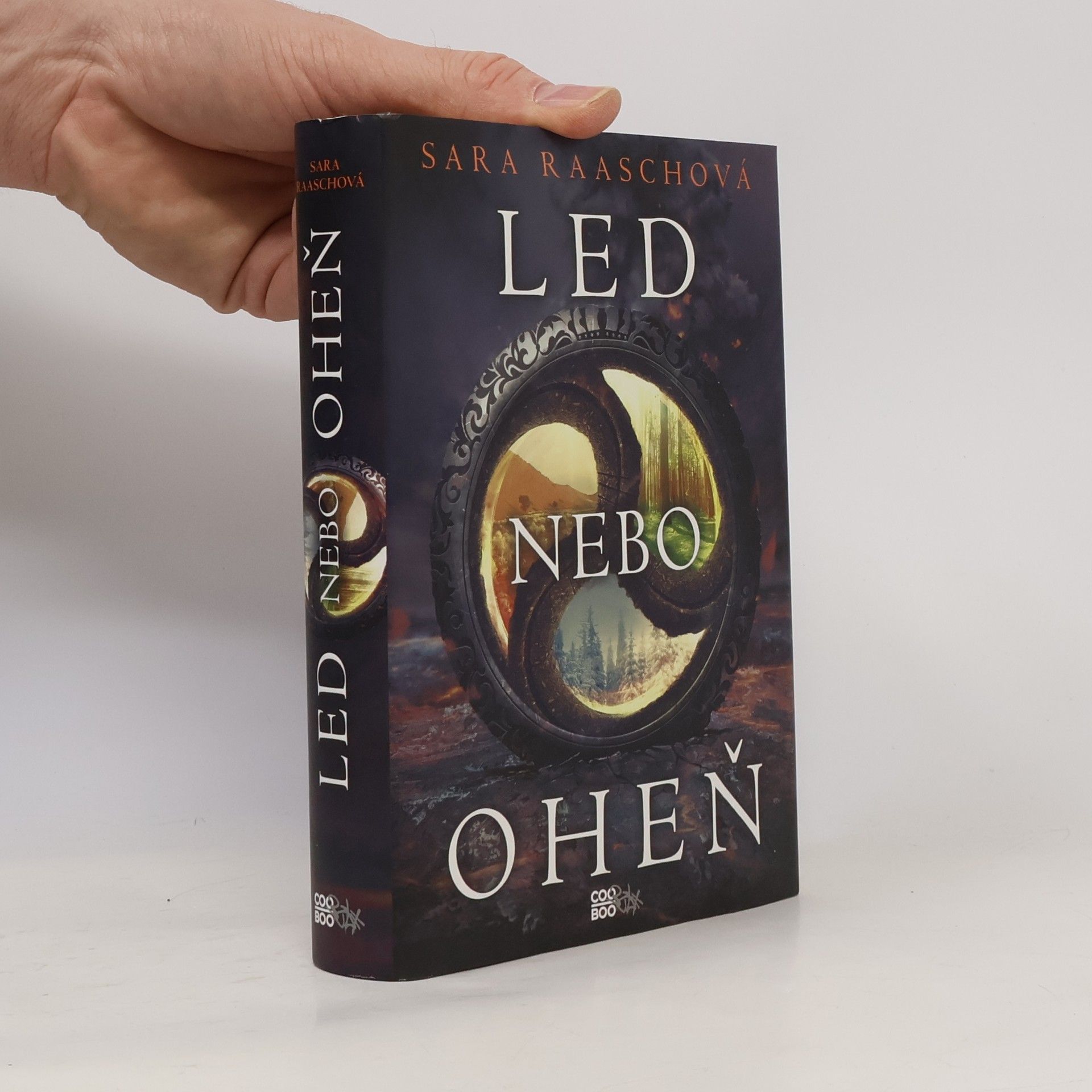 Sara Raasch Led nebo oheň