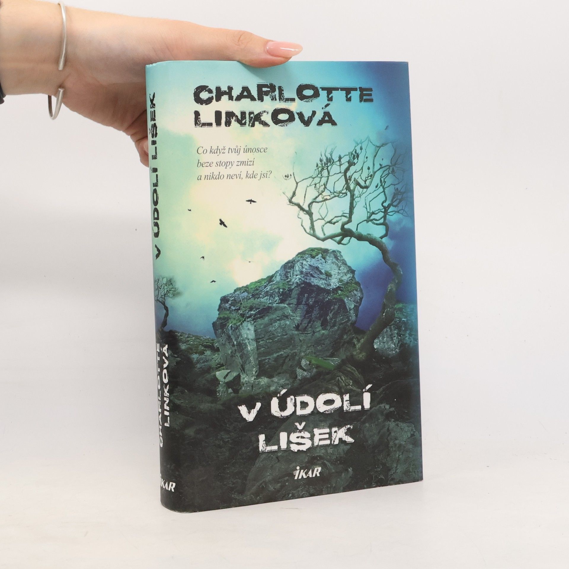 Charlotte Link V údolí lišek