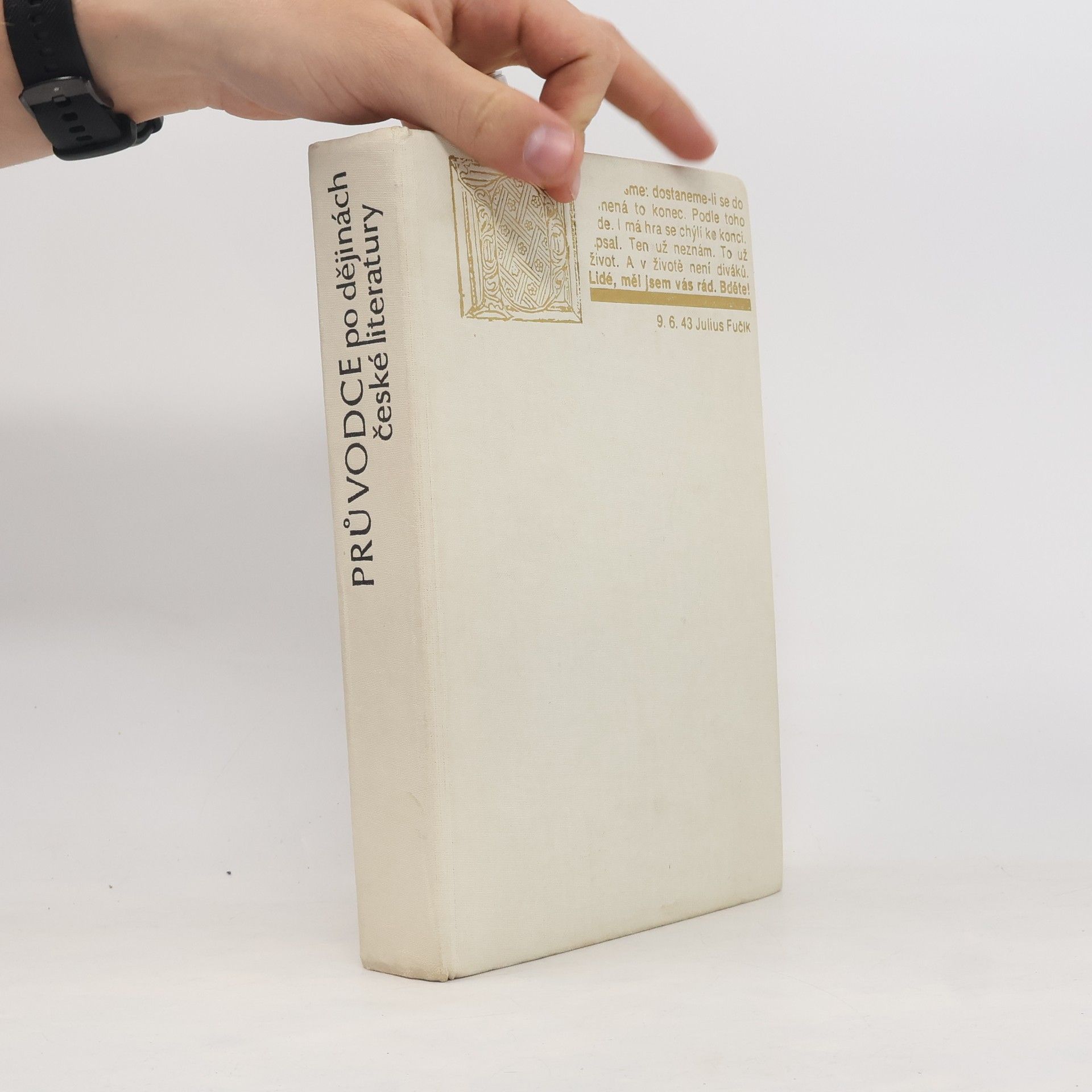 Zdeňka Tichá Průvodce po dějinách české literatury
